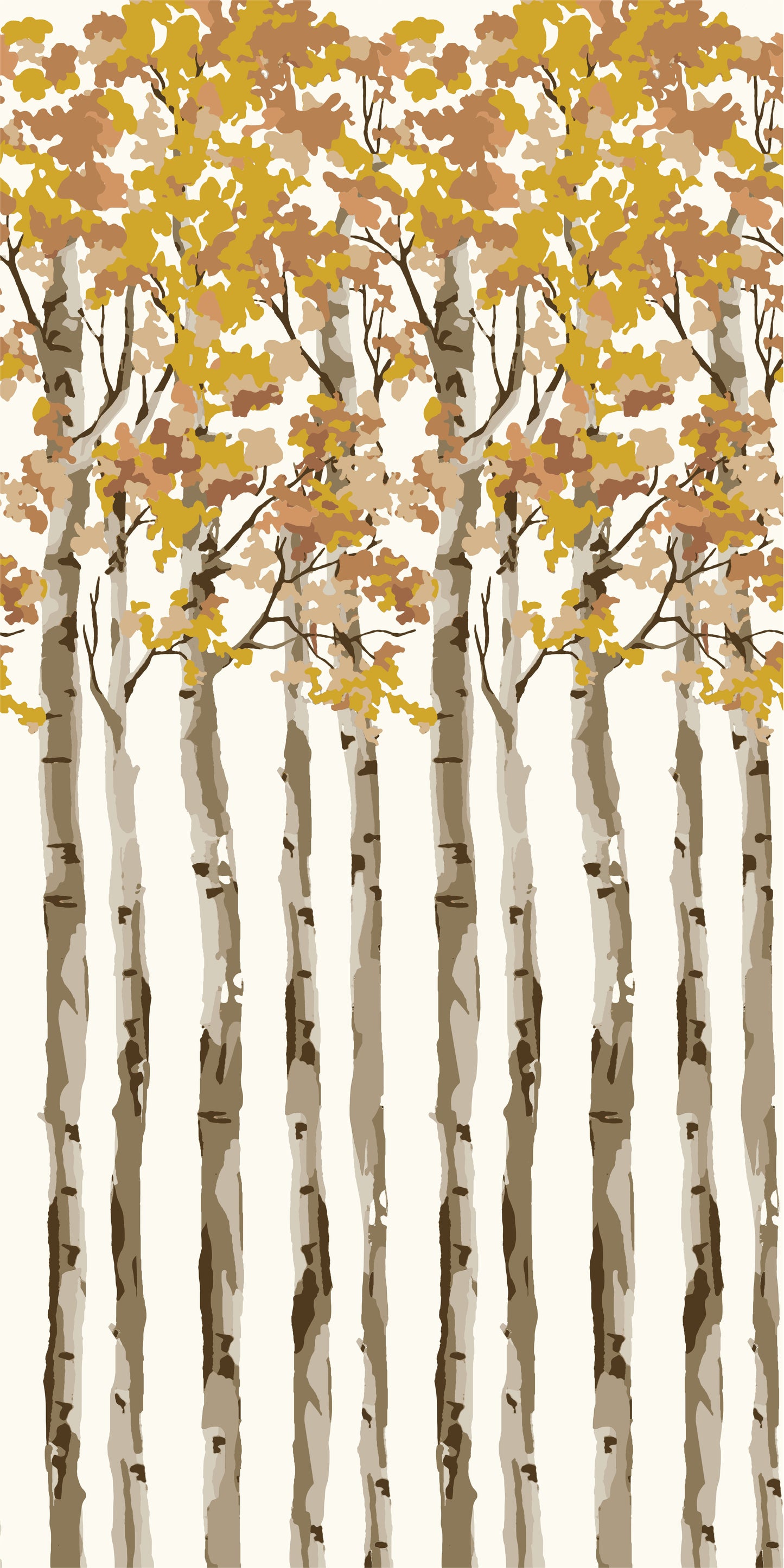 Birch Tree