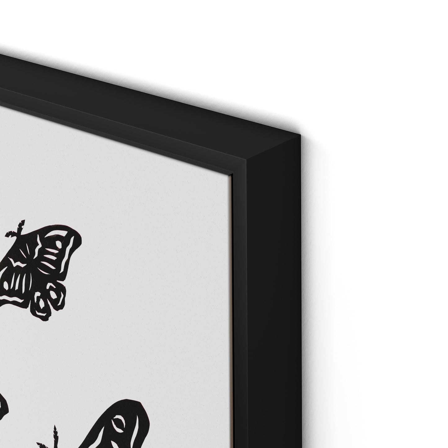 Black Moths Canvas Floater Framed / 24 x 32 in / Black