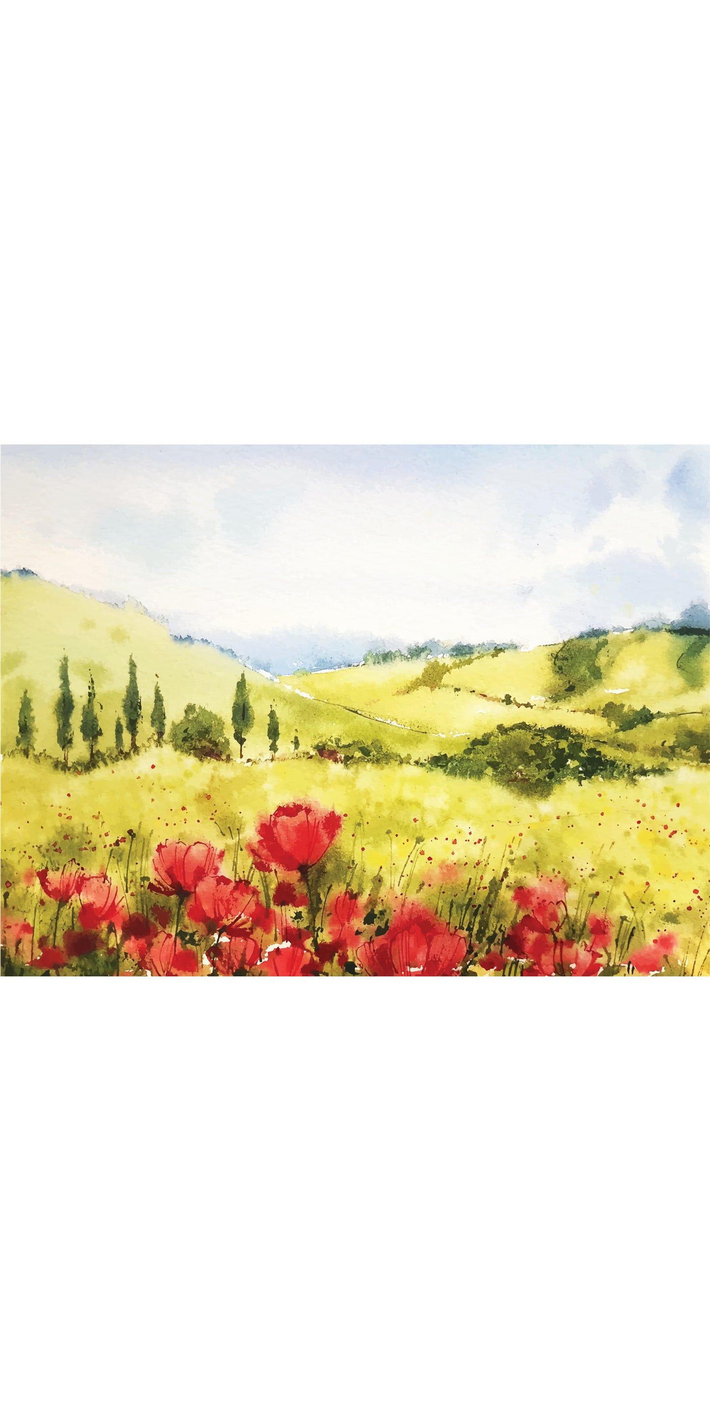 Poppy Fields