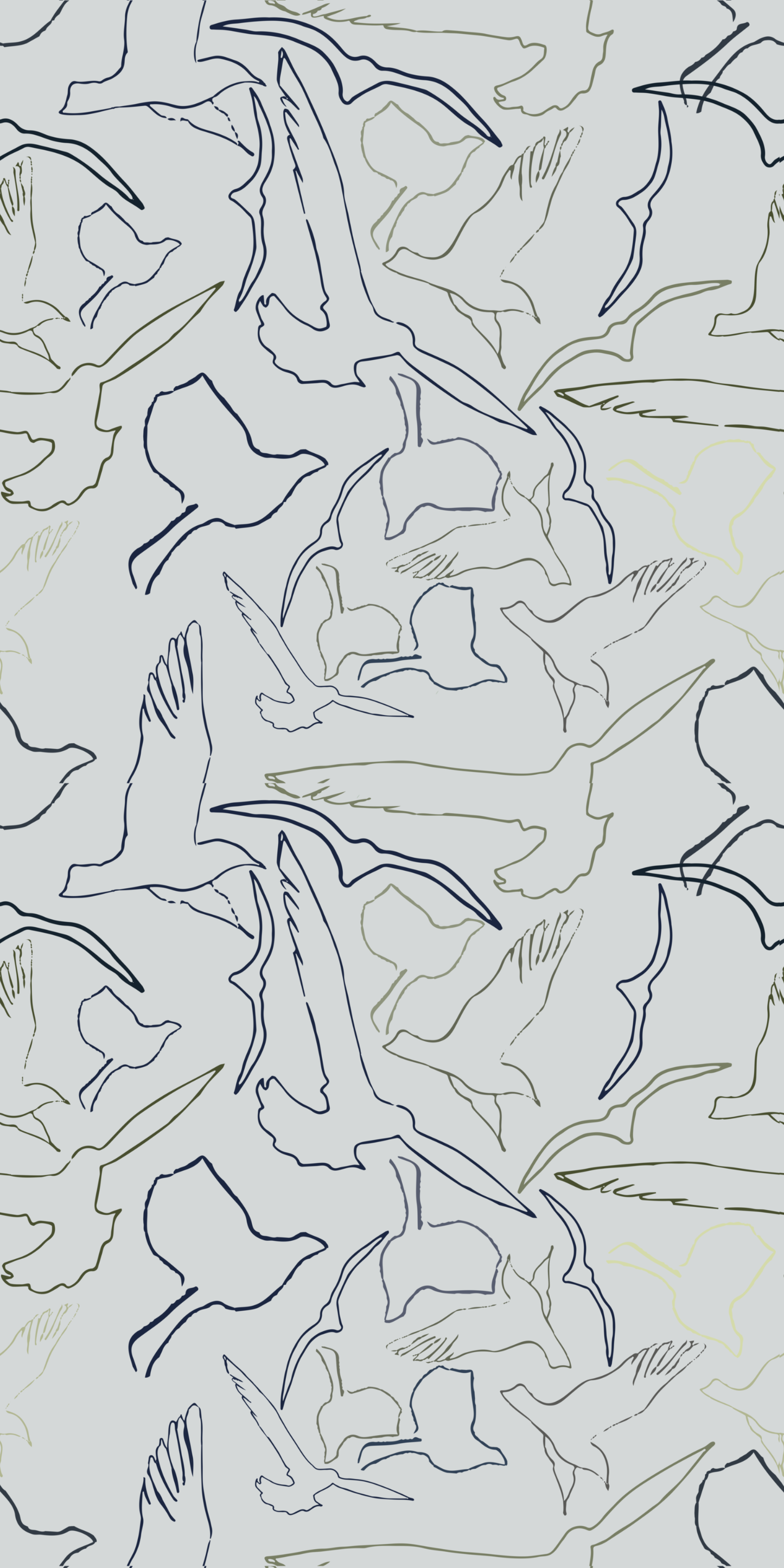 No. 1 - Birds Eye View