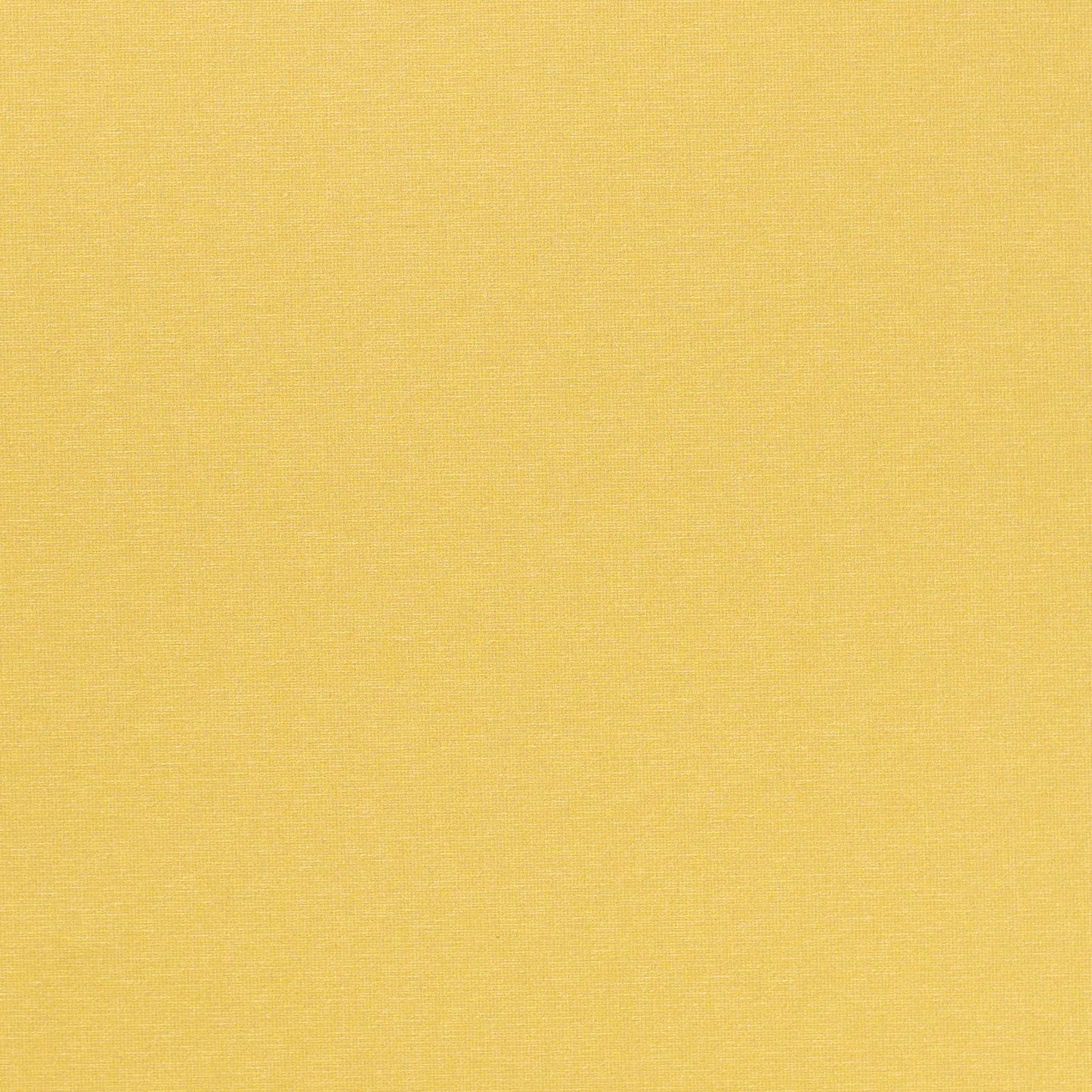 Image of Golden Glow in Golden Glow Wallpaper