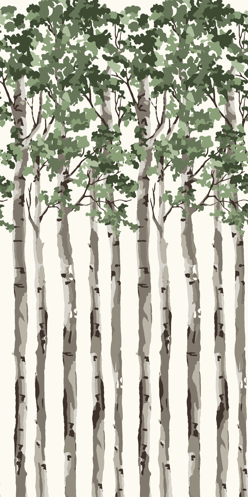 Birch Tree in Green color
