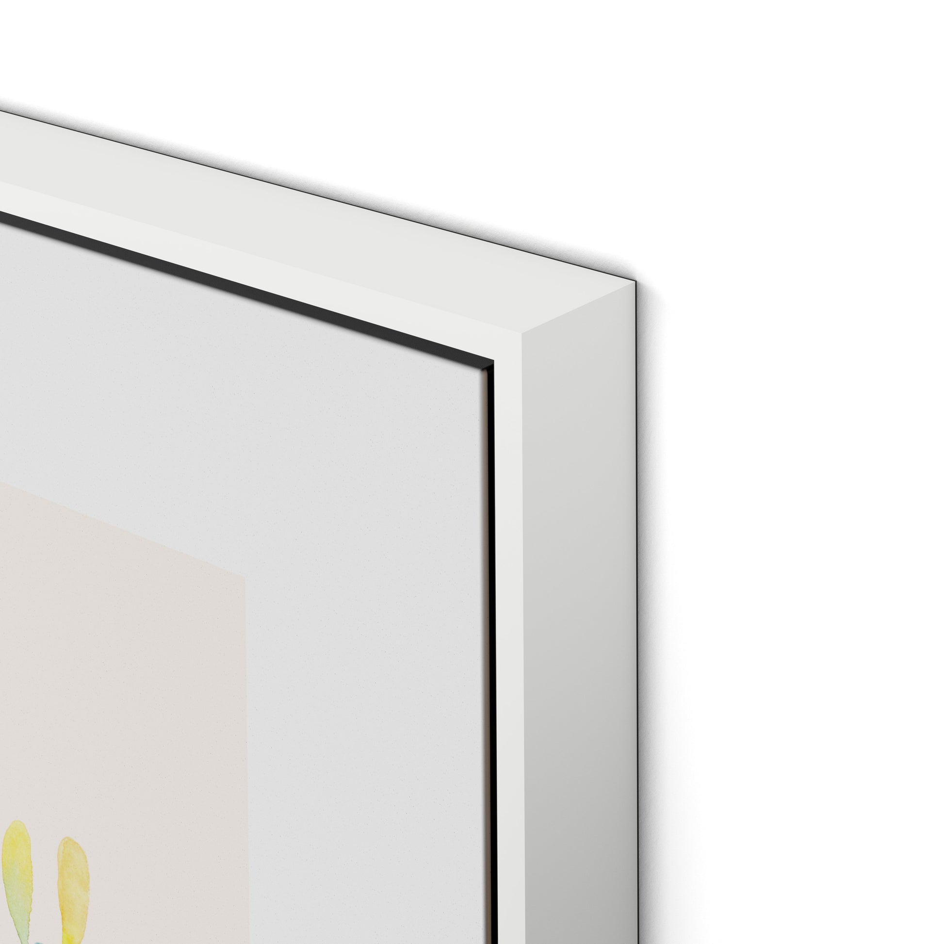 Cactus Color Canvas Floater Framed / 24 x 18 in / White