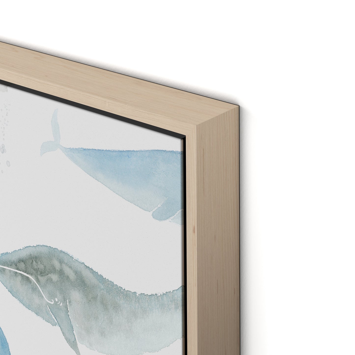 Whale Whale Canvas Floater Framed / 32 x 21 in / Natural Maple