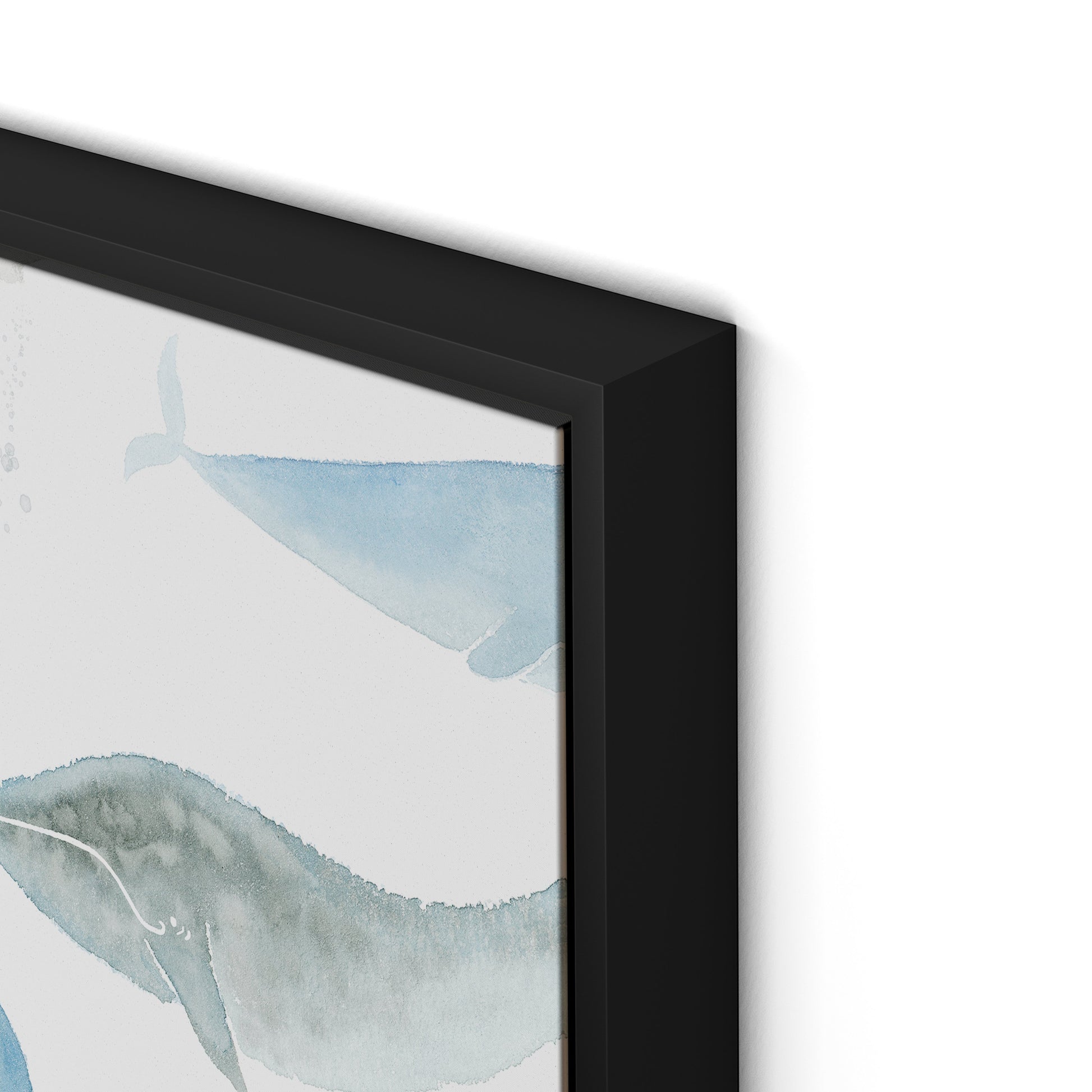 Whale Whale Canvas Floater Framed / 32 x 21 in / Black