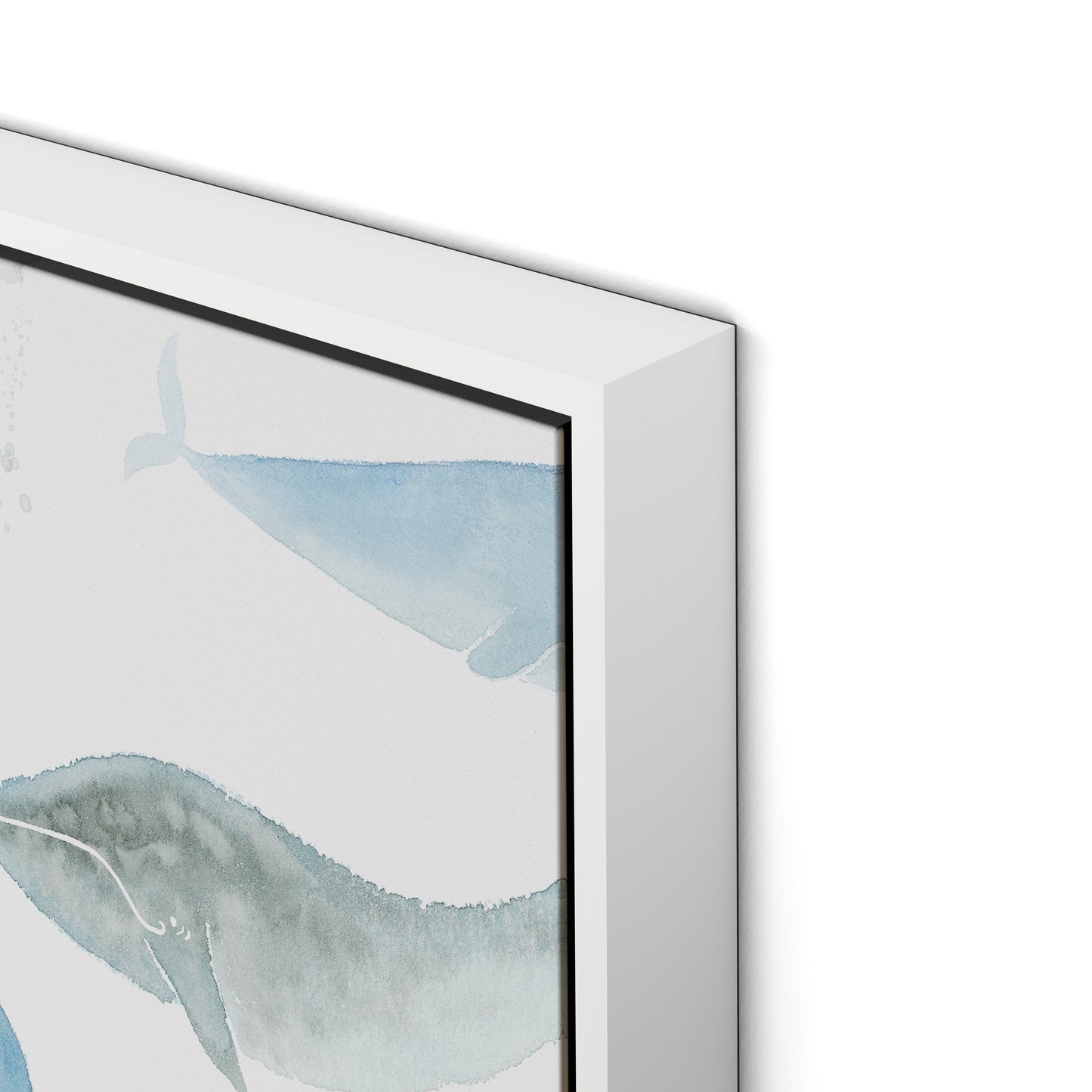 Whale Whale Canvas Floater Framed / 32 x 21 in / White