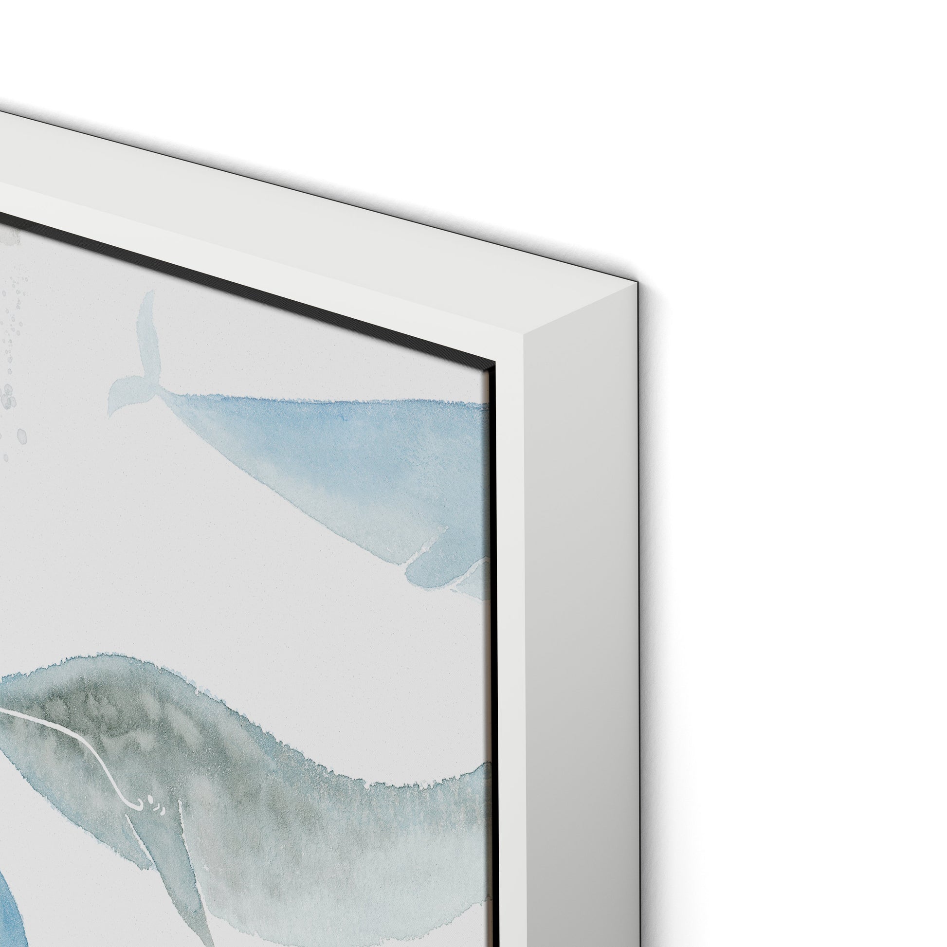 Whale Whale Canvas Floater Framed / 32 x 21 in / White