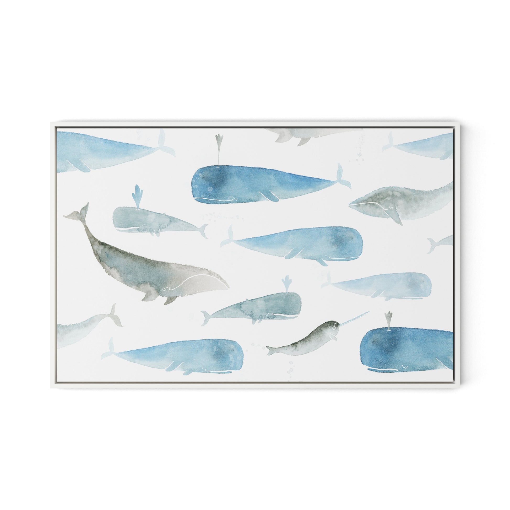 Whale Whale Canvas Floater Framed / 32 x 21 in / White