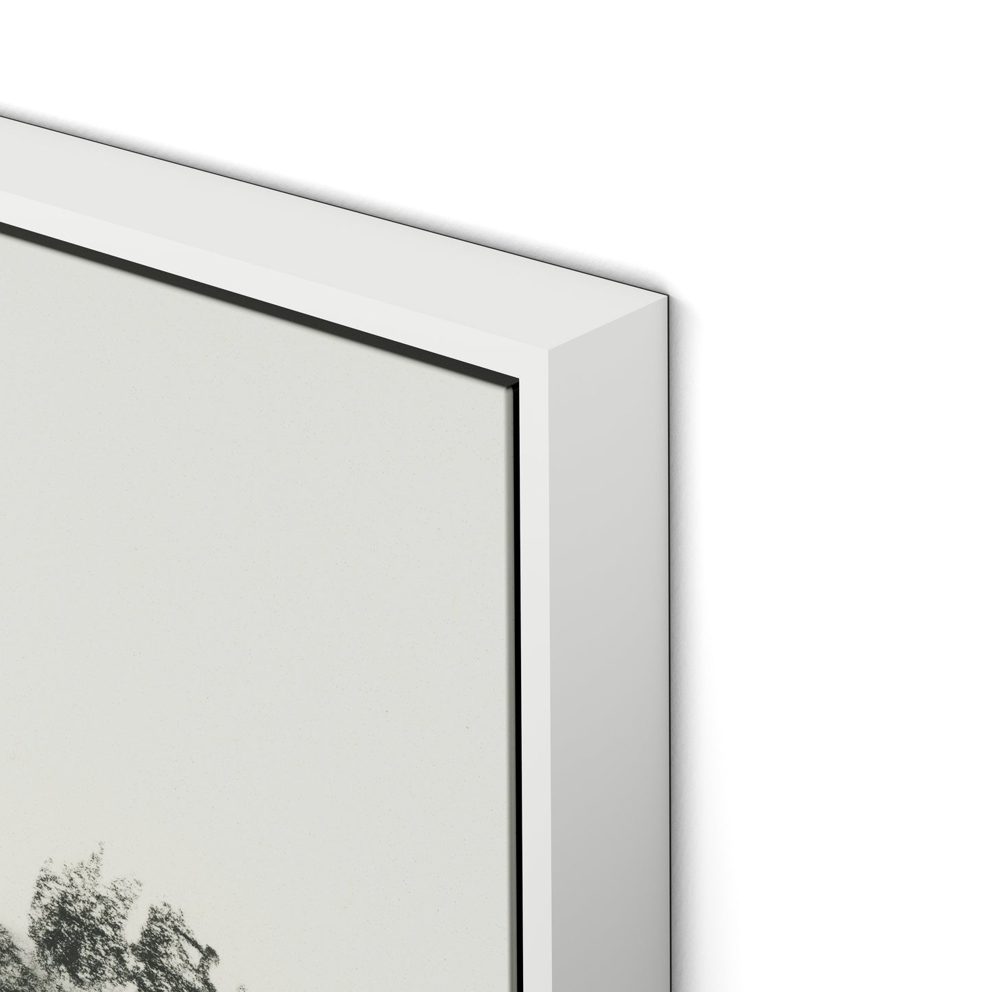 Fete Canvas Floater Framed / 32 x 20 in / White