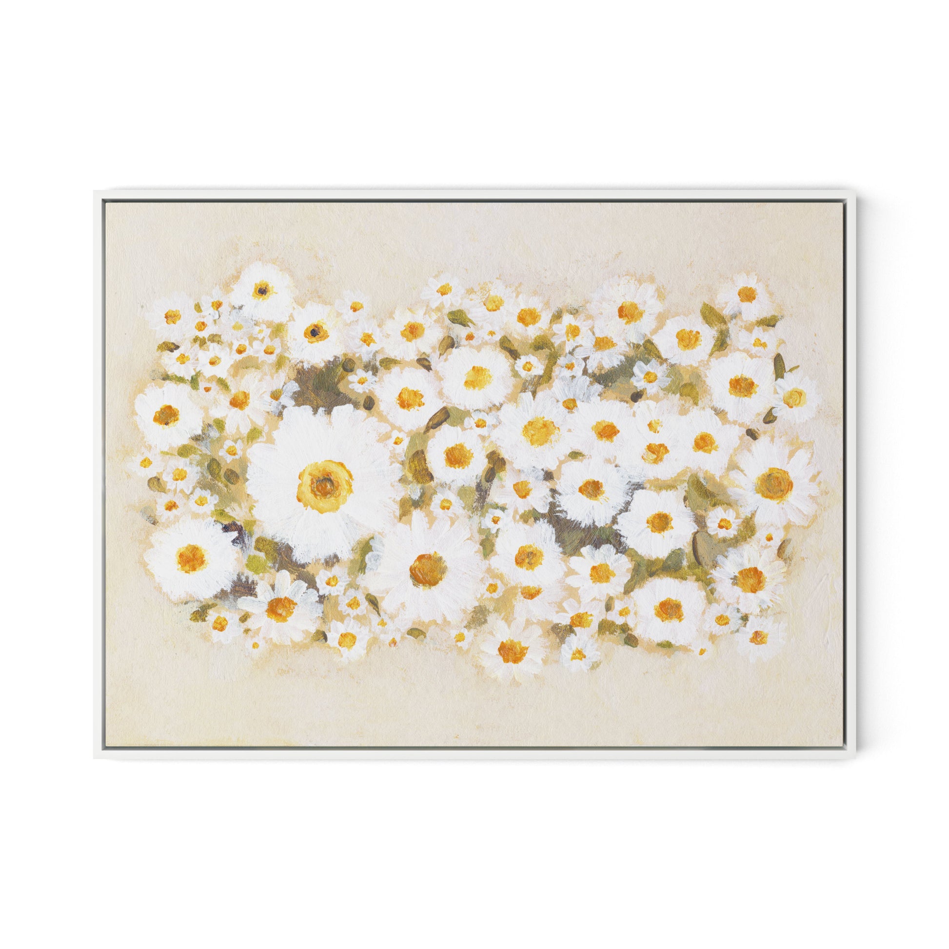 Chorus of Daisies Canvas Floater Framed / 32 x 24 in / White