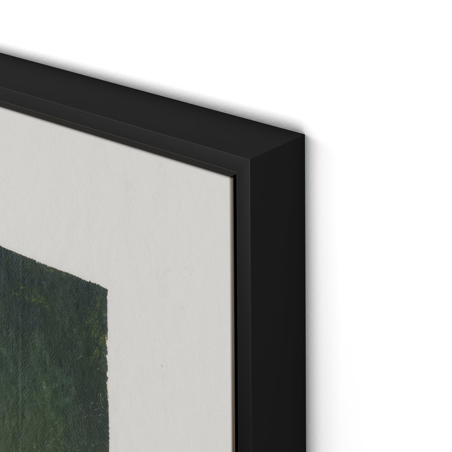 Wildflower Constellations XIX with border Canvas Floater Framed / 32 x 24 in / Black