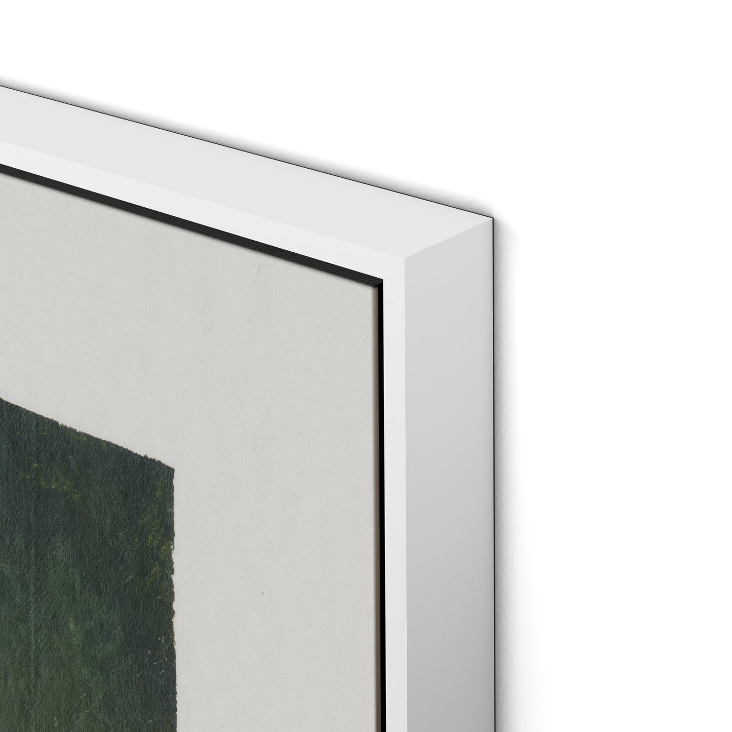 Wildflower Constellations XIX with border Canvas Floater Framed / 32 x 24 in / White