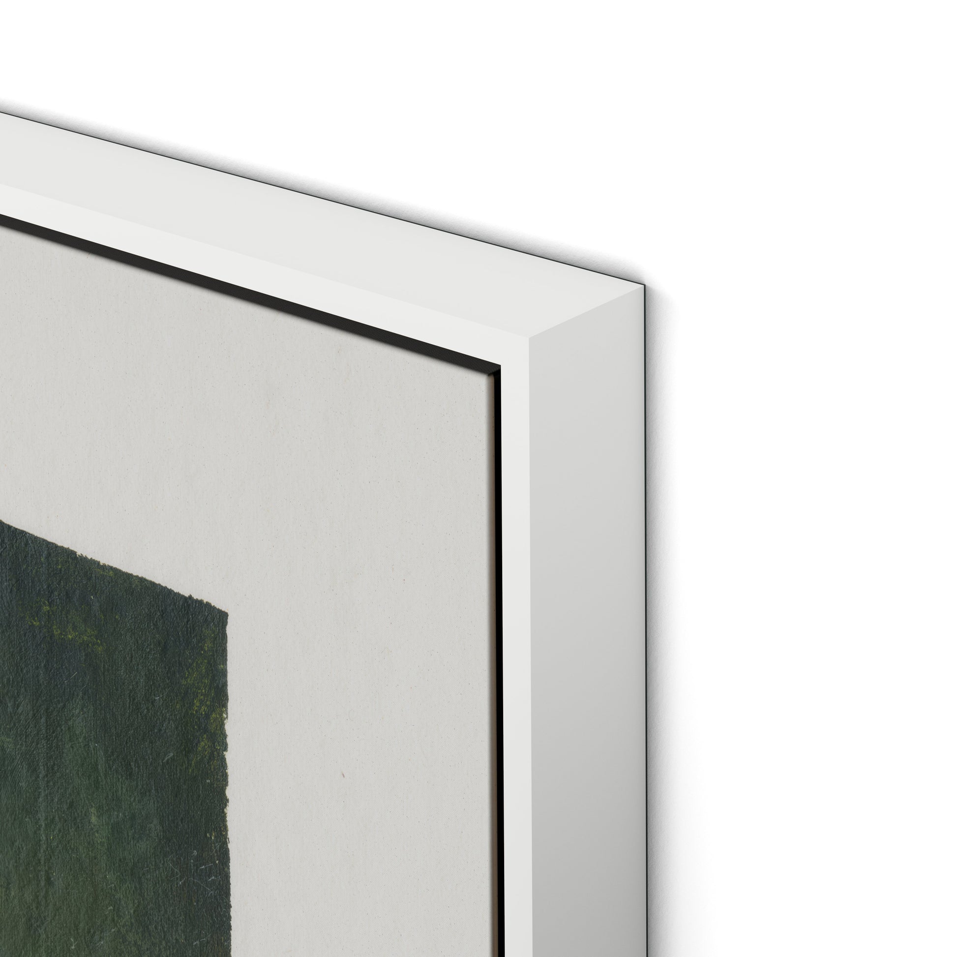 Wildflower Constellations XIX with border Canvas Floater Framed / 32 x 24 in / White