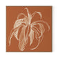 Dracaena Terracotta Canvas Floater Framed / 32 x 32 in / Natural Maple