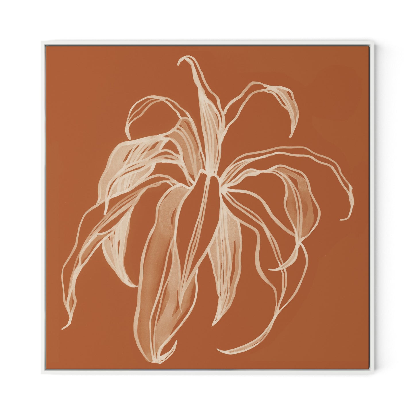 Dracaena Terracotta Canvas Floater Framed / 32 x 32 in / White