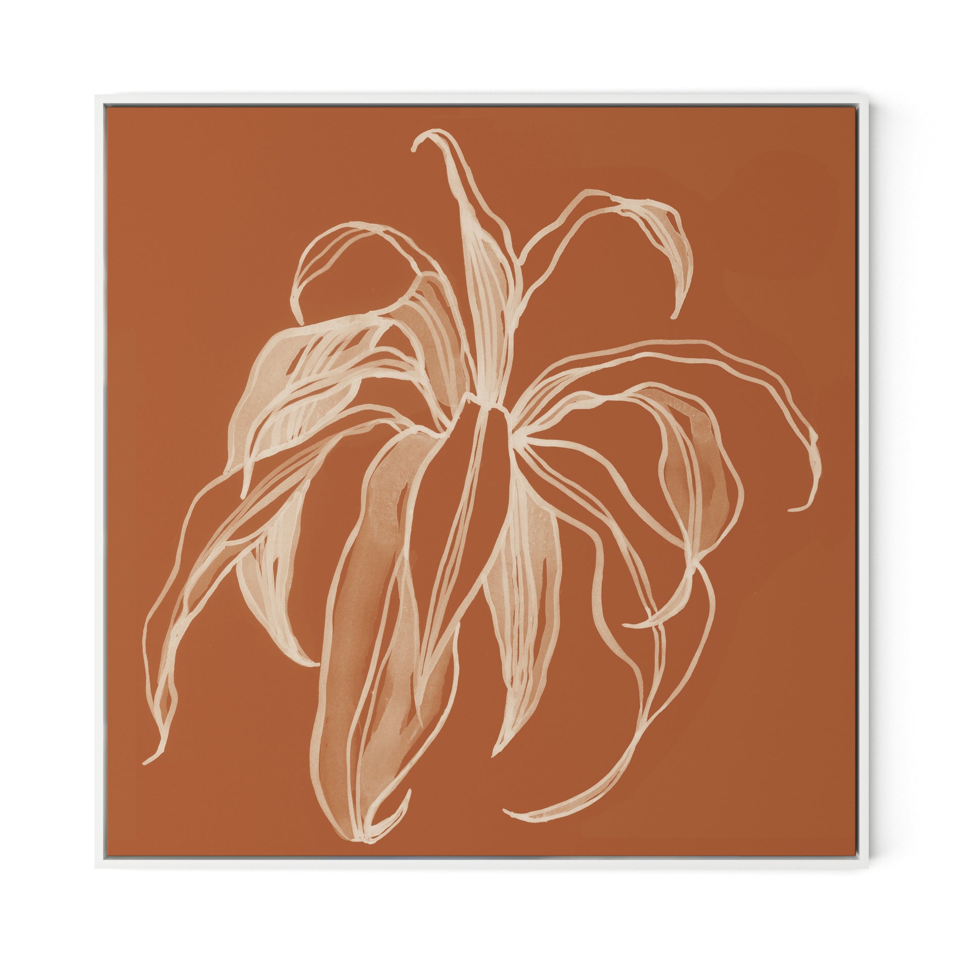 Dracaena Terracotta Canvas Floater Framed / 32 x 32 in / White