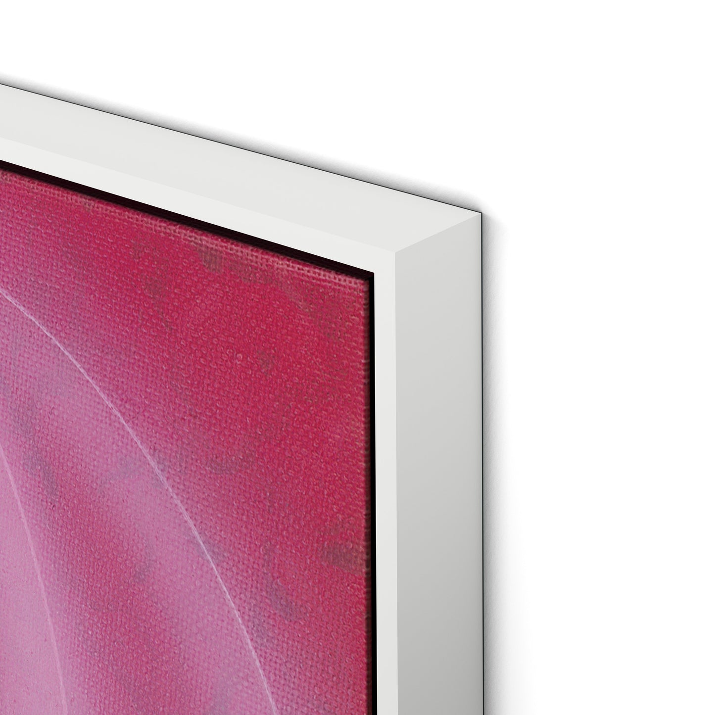 Rose II Canvas Floater Framed / 32 x 32 in / White