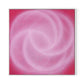 Rose II Canvas Floater Framed / 32 x 32 in / White