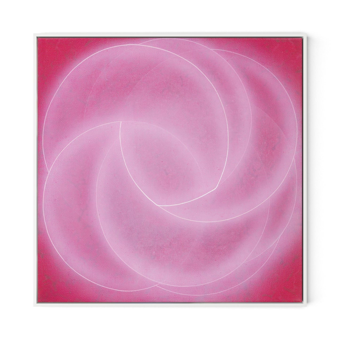 Rose II Canvas Floater Framed / 32 x 32 in / White
