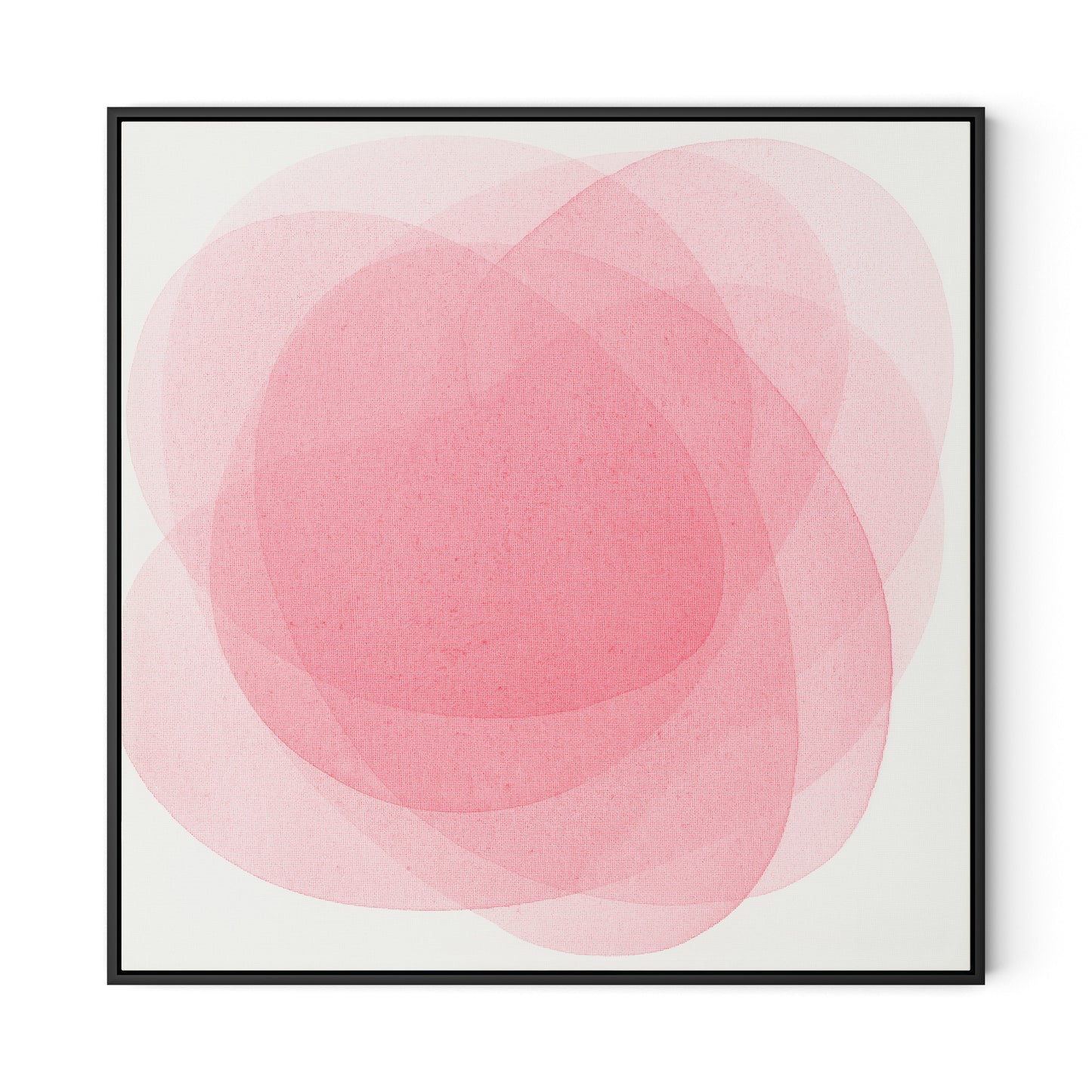 Rose I Canvas Floater Framed / 32 x 32 in / Black