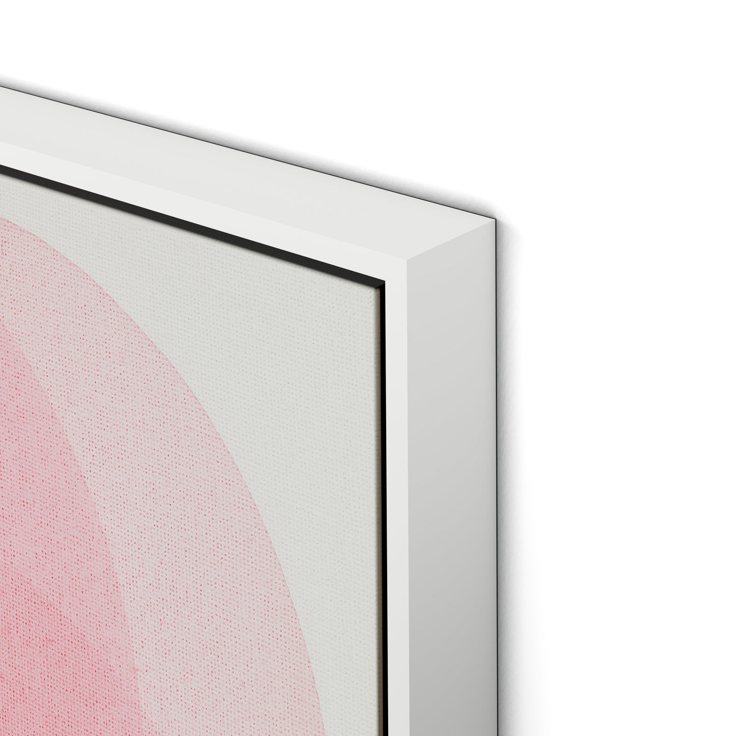 Rose I Canvas Floater Framed / 32 x 32 in / White