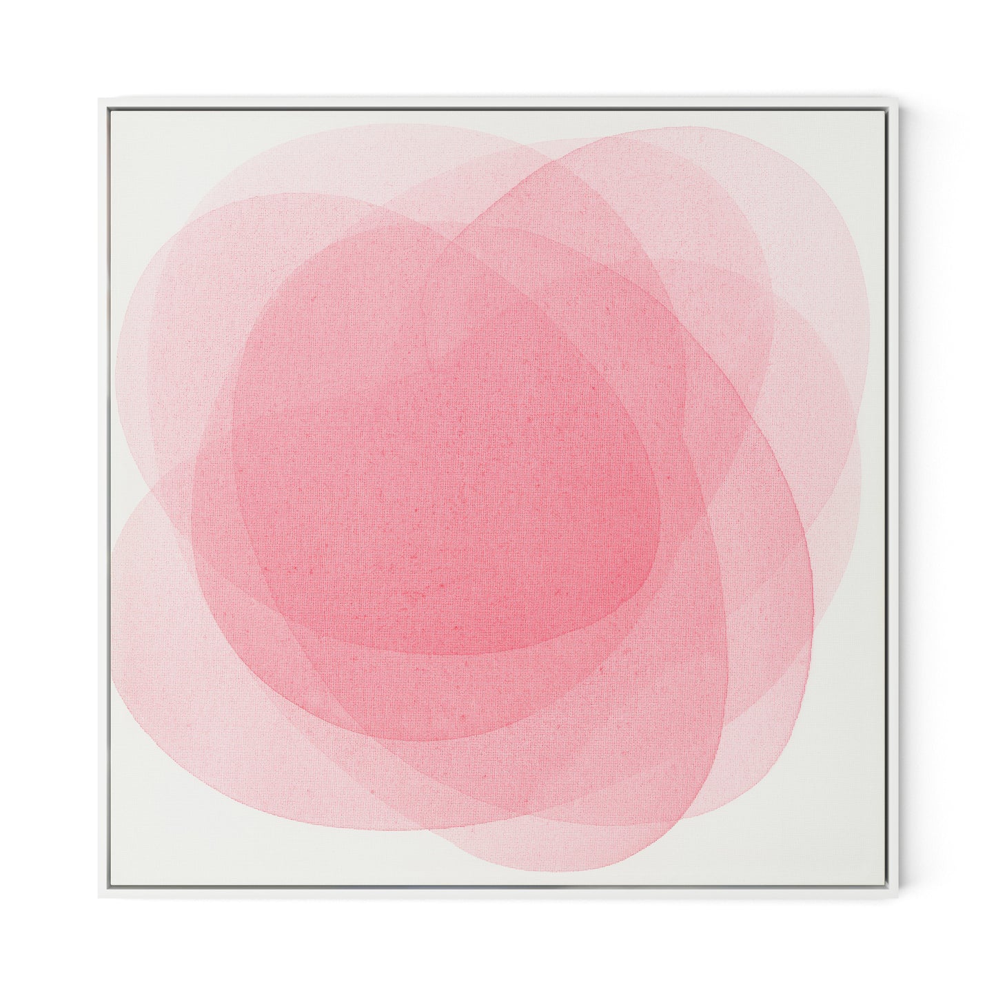 Rose I Canvas Floater Framed / 32 x 32 in / White