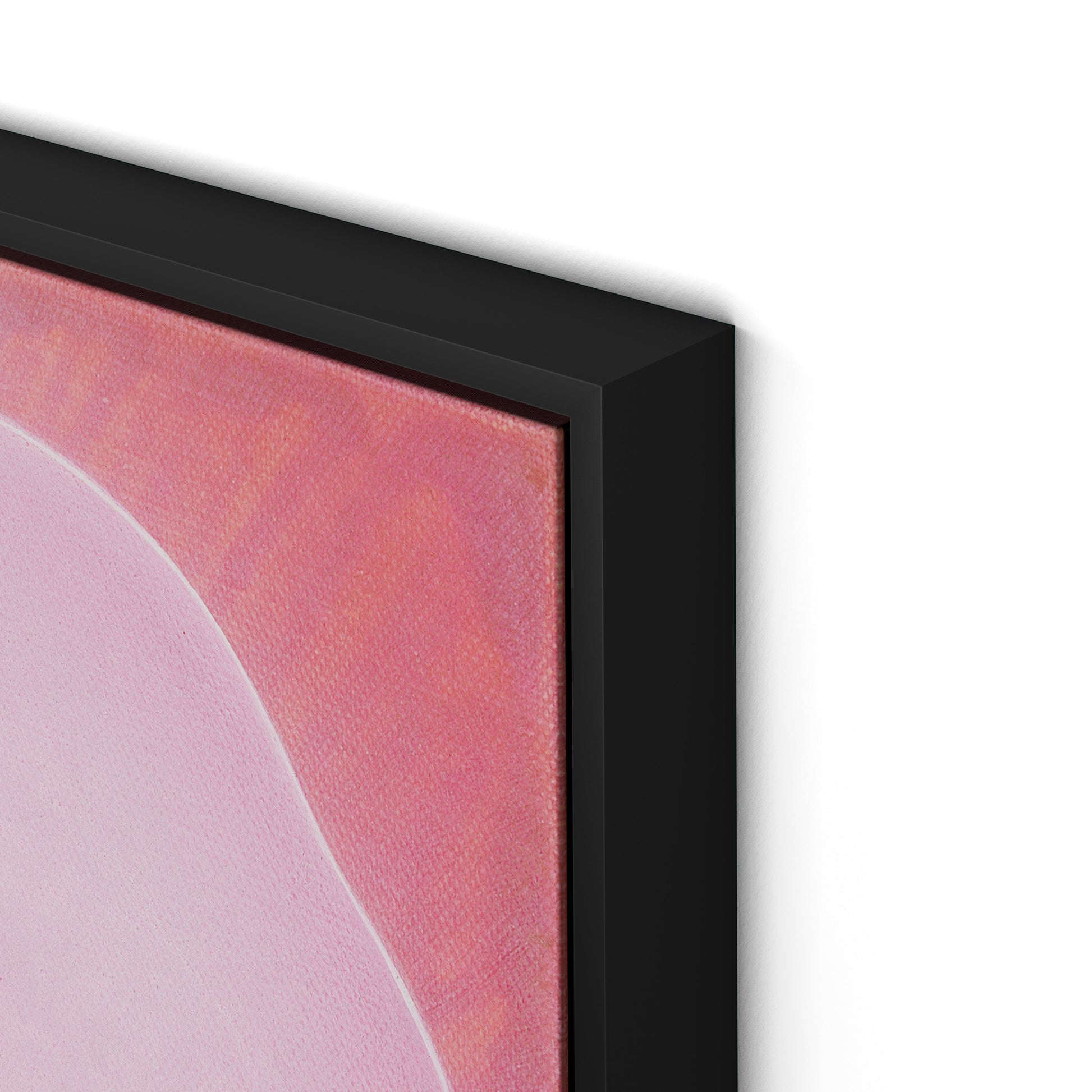 Wild Rose Canvas Floater Framed / 32 x 32 in / Black