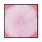 Wild Rose Canvas Floater Framed / 32 x 32 in / Black