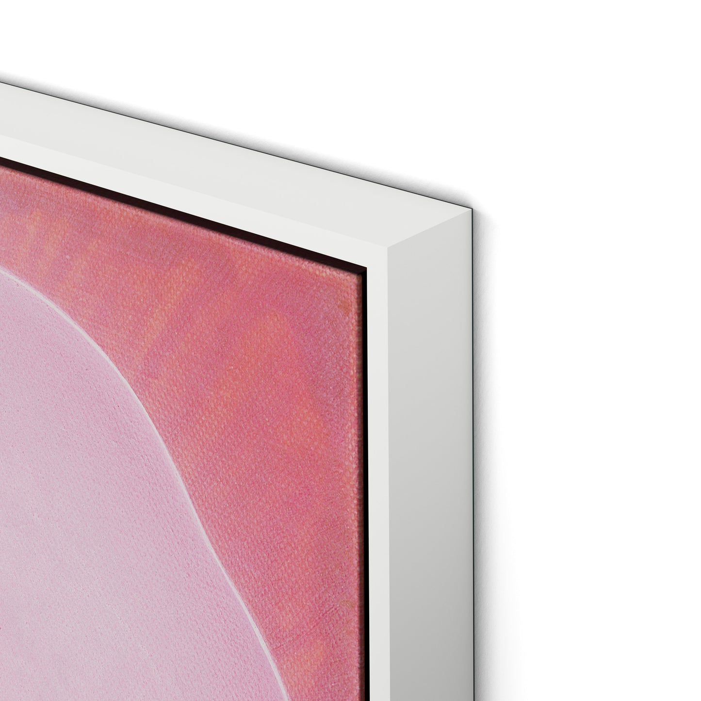 Wild Rose Canvas Floater Framed / 32 x 32 in / White