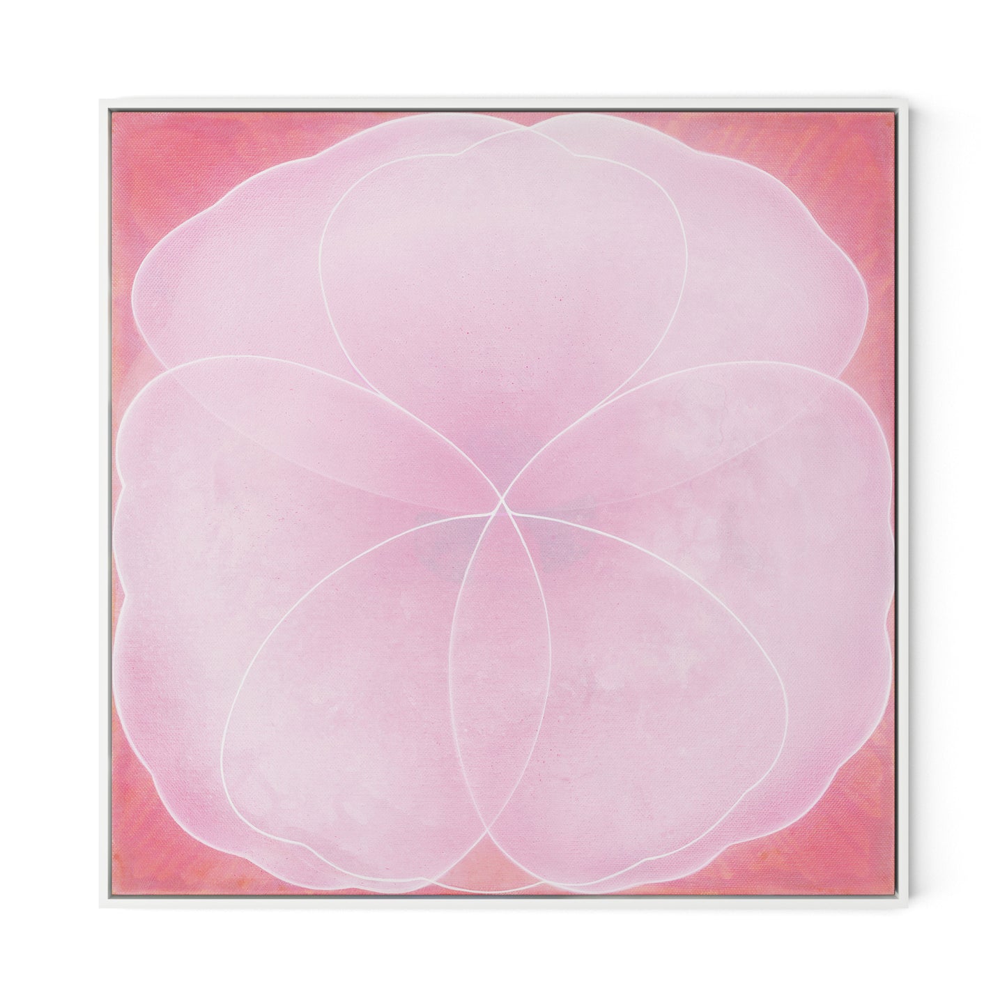 Wild Rose Canvas Floater Framed / 32 x 32 in / White