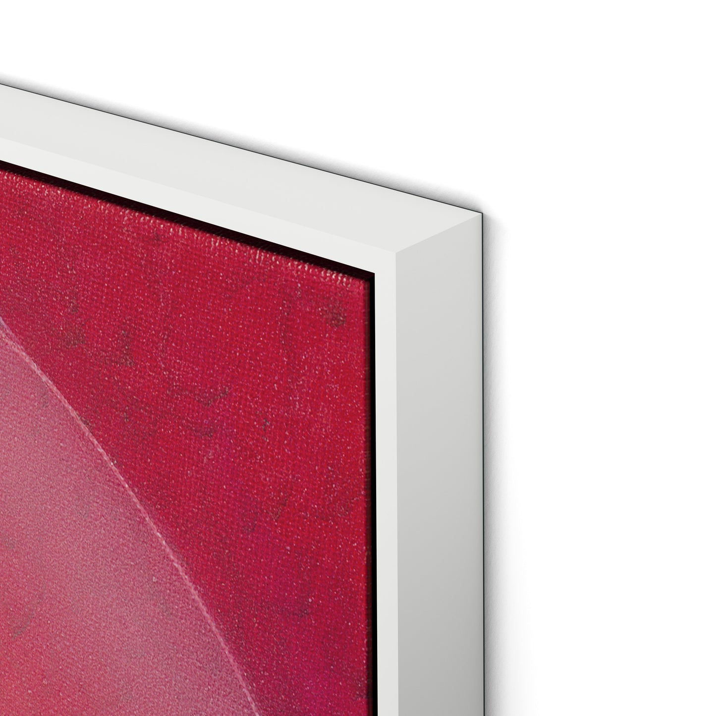 Rose III Canvas Floater Framed / 32 x 32 in / White