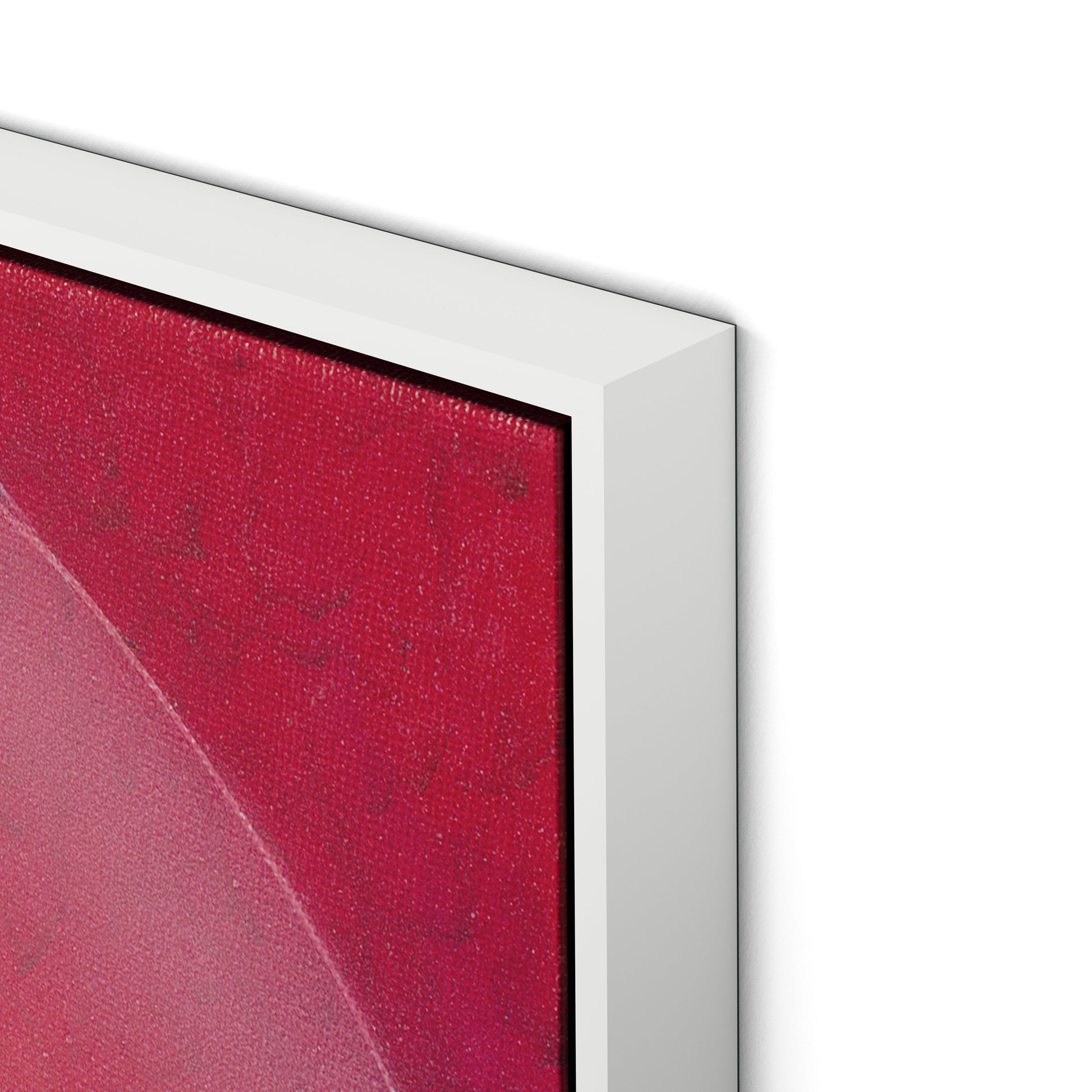 Rose III Canvas Floater Framed / 32 x 32 in / White