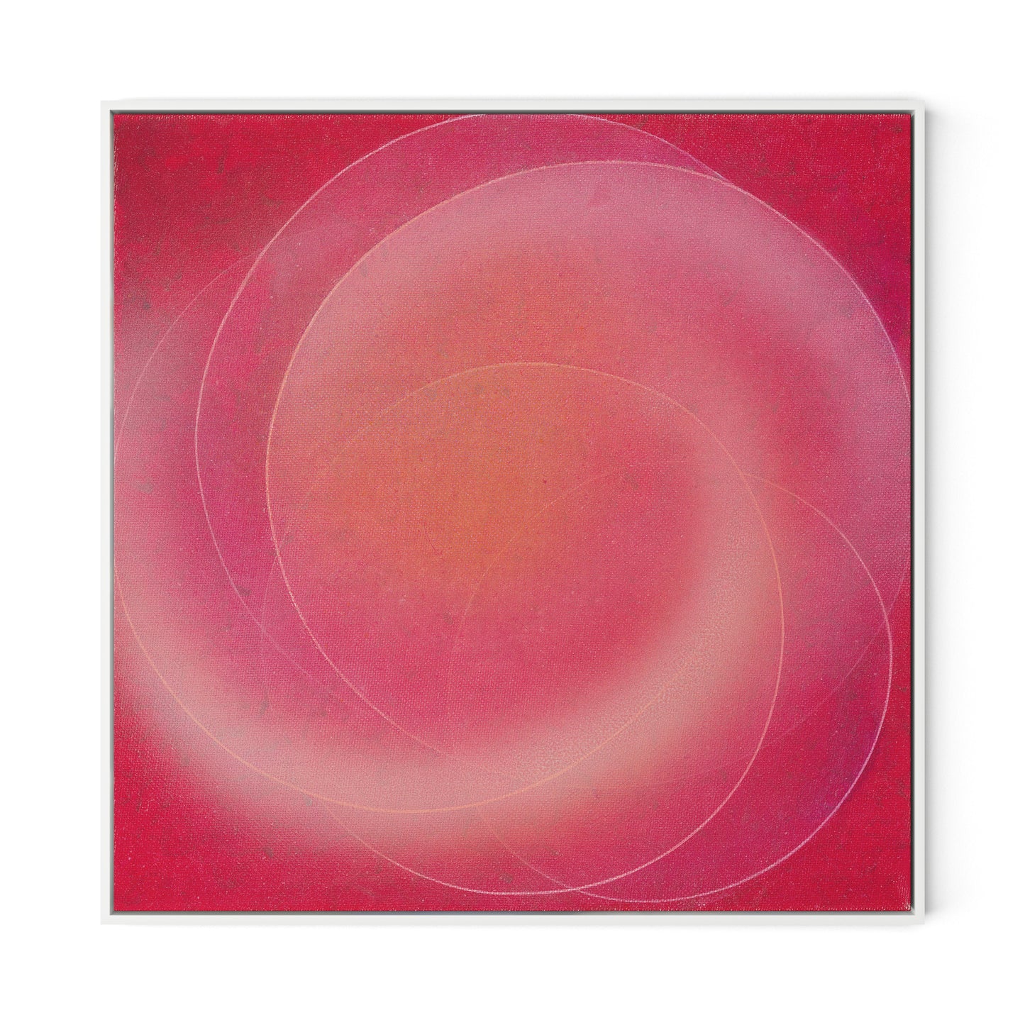 Rose III Canvas Floater Framed / 32 x 32 in / White