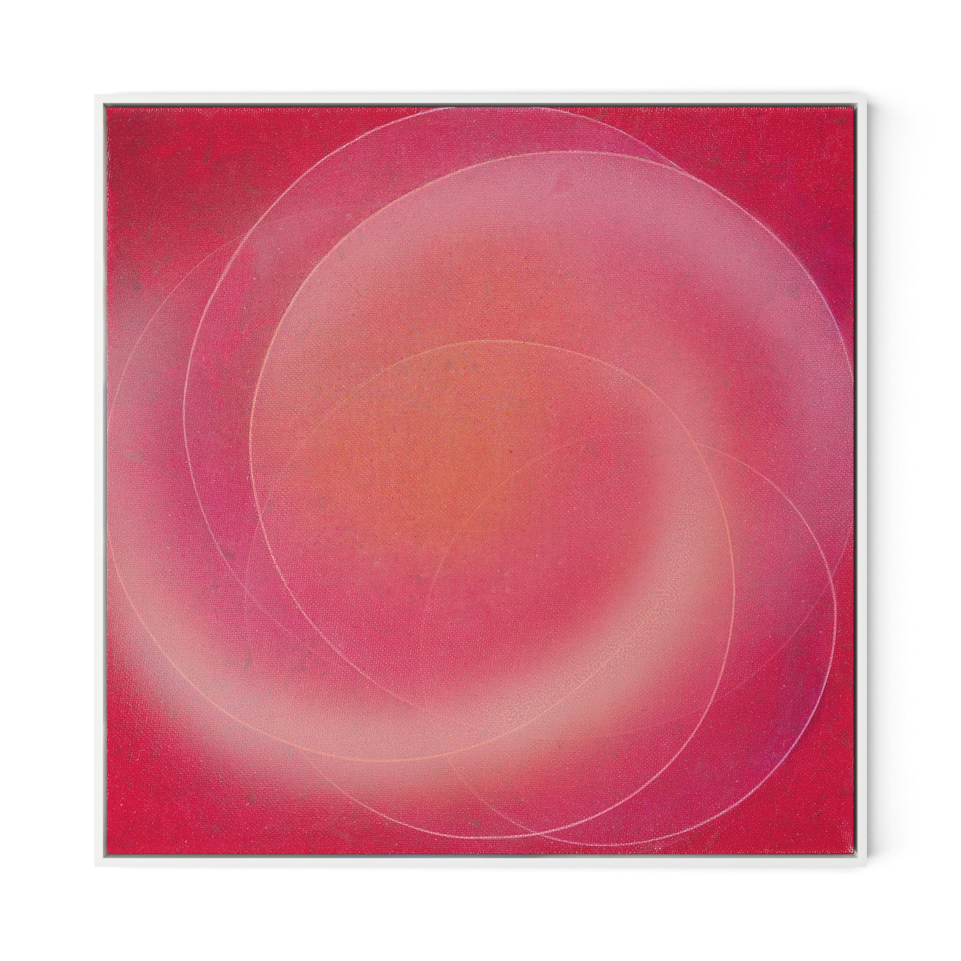 Rose III Canvas Floater Framed / 32 x 32 in / White