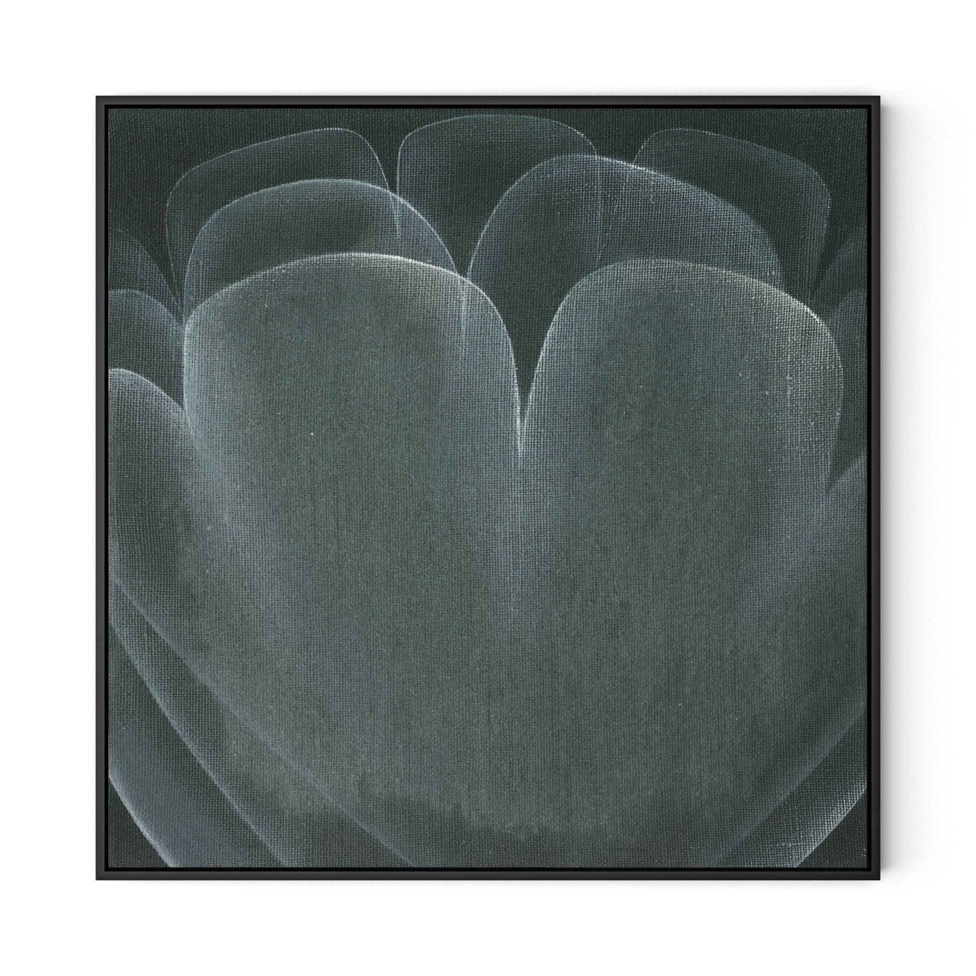 Shadows II Canvas Floater Framed / 32 x 32 in / Black