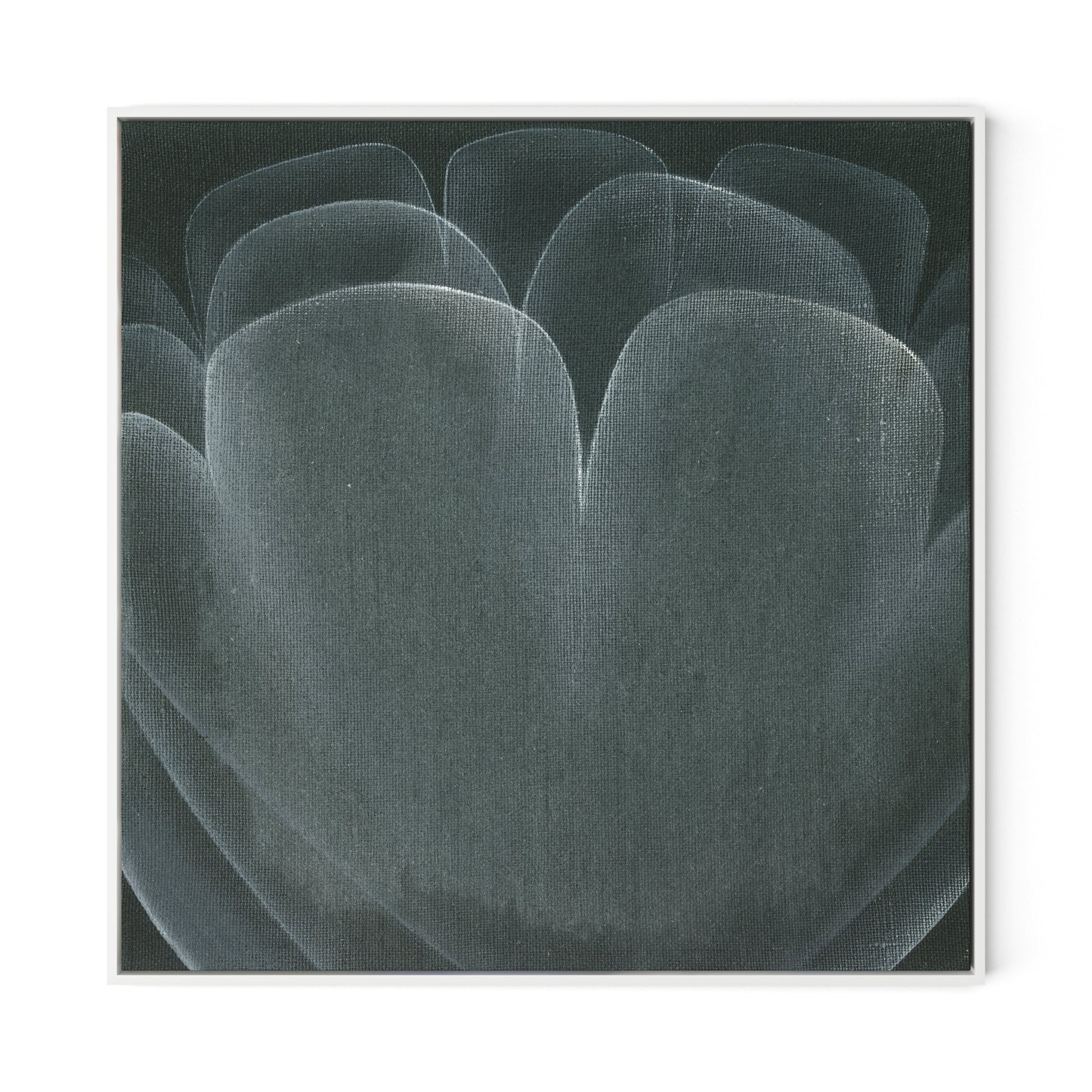 Shadows II Canvas Floater Framed / 32 x 32 in / White