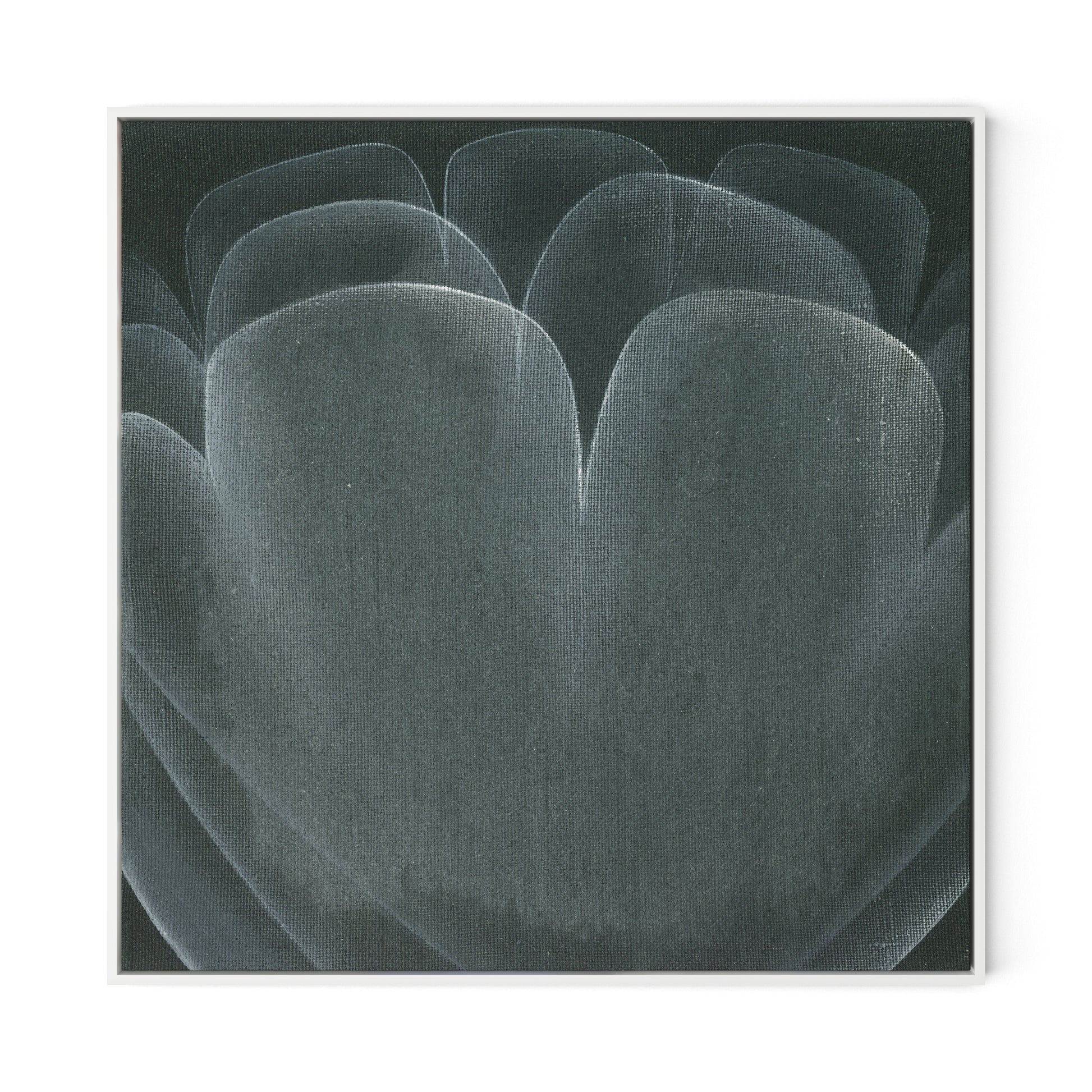 Shadows II Canvas Floater Framed / 32 x 32 in / White