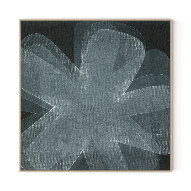 Shadows I