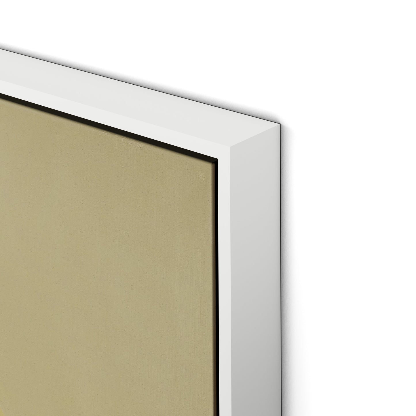 Evergreen II Canvas Floater Framed / 24 x 32 in / White