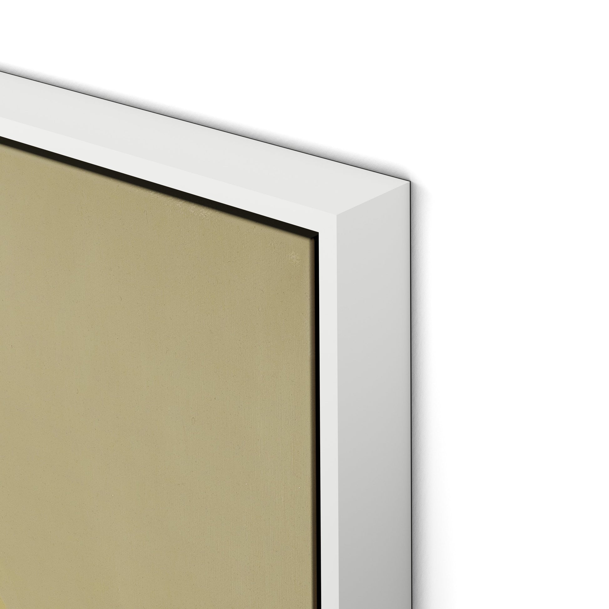 Evergreen II Canvas Floater Framed / 24 x 32 in / White