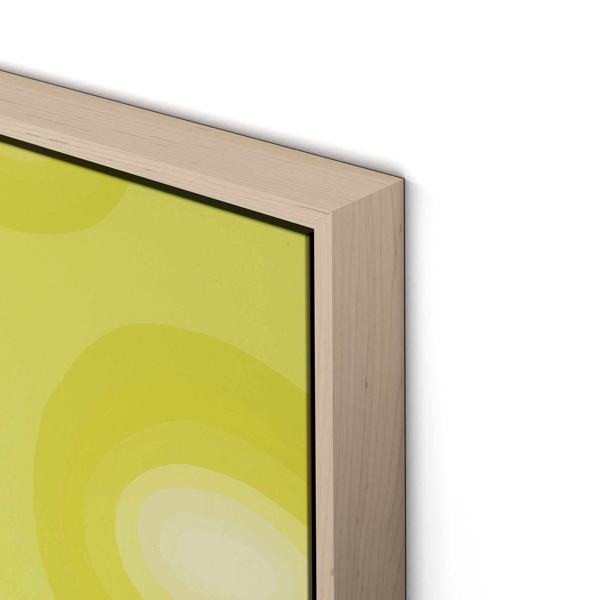 Citrus Rounds Canvas Floater Framed / 19 x 32 in / Natural Maple