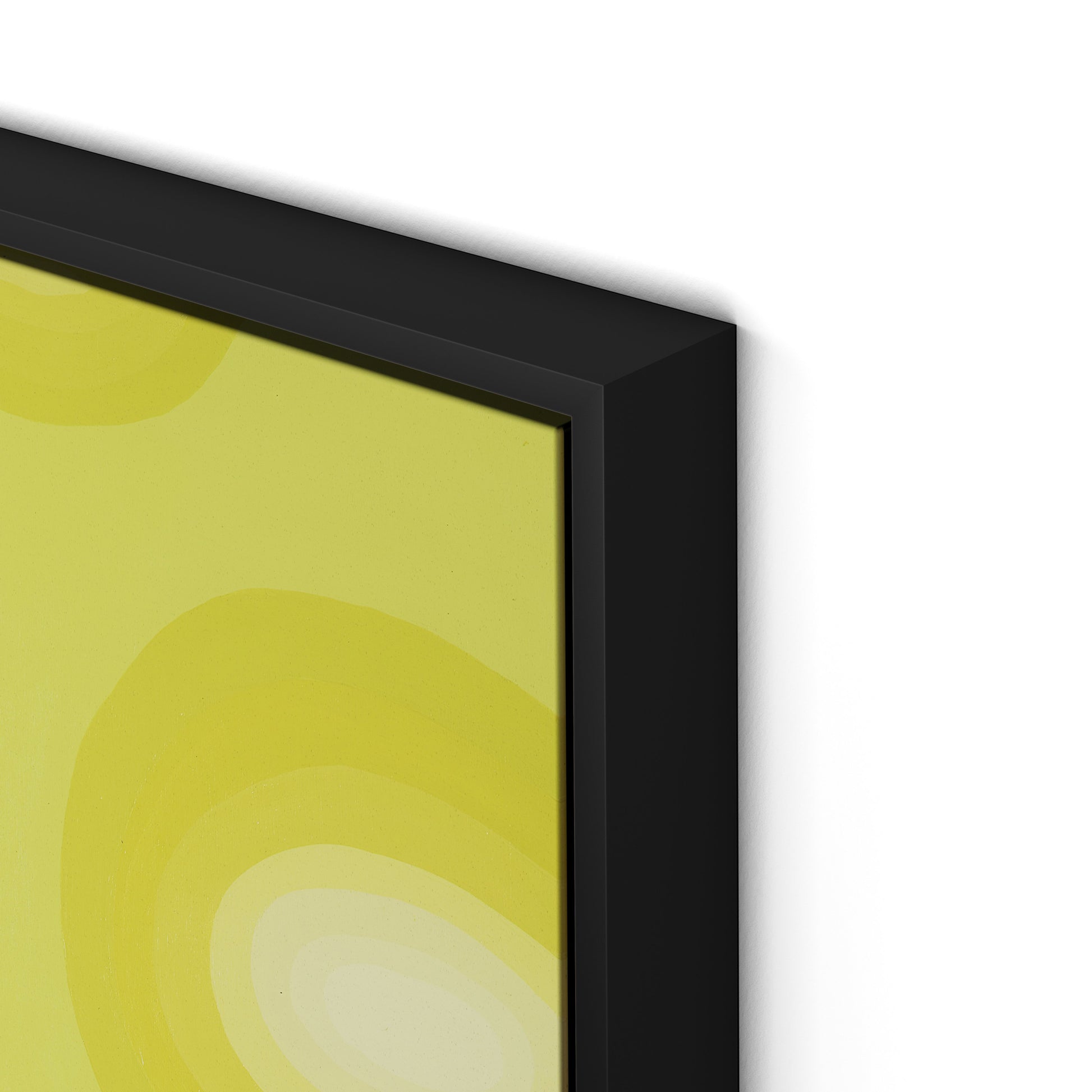 Citrus Rounds Canvas Floater Framed / 19 x 32 in / Black