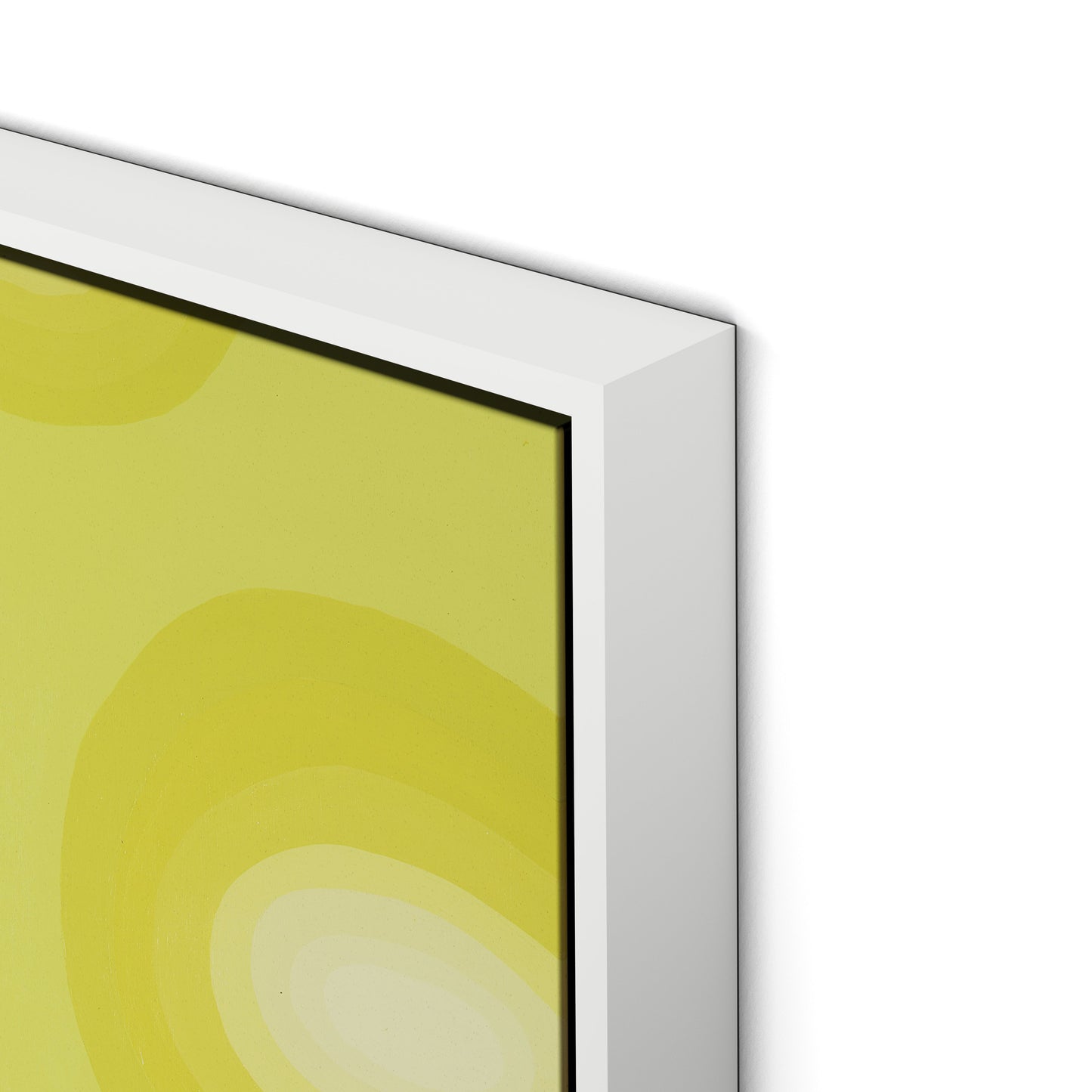 Citrus Rounds Canvas Floater Framed / 19 x 32 in / White