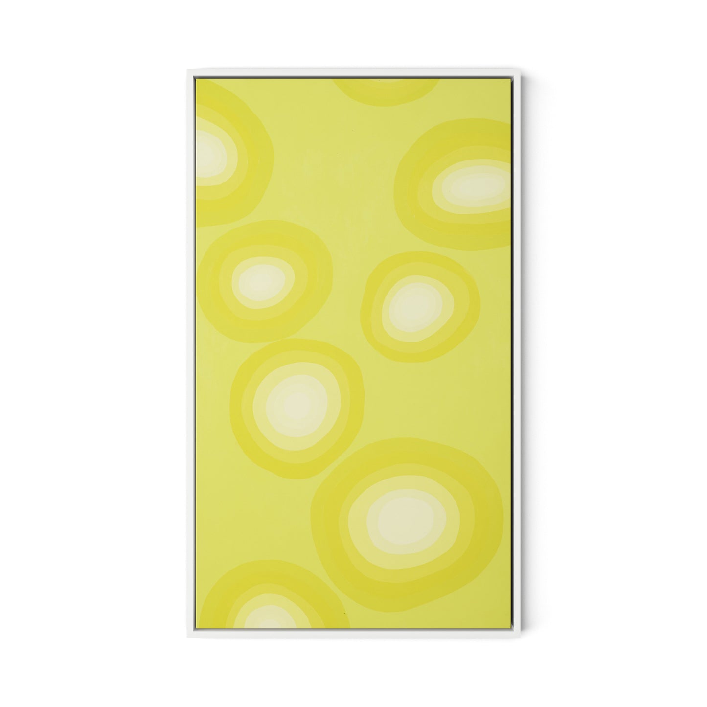 Citrus Rounds Canvas Floater Framed / 19 x 32 in / White