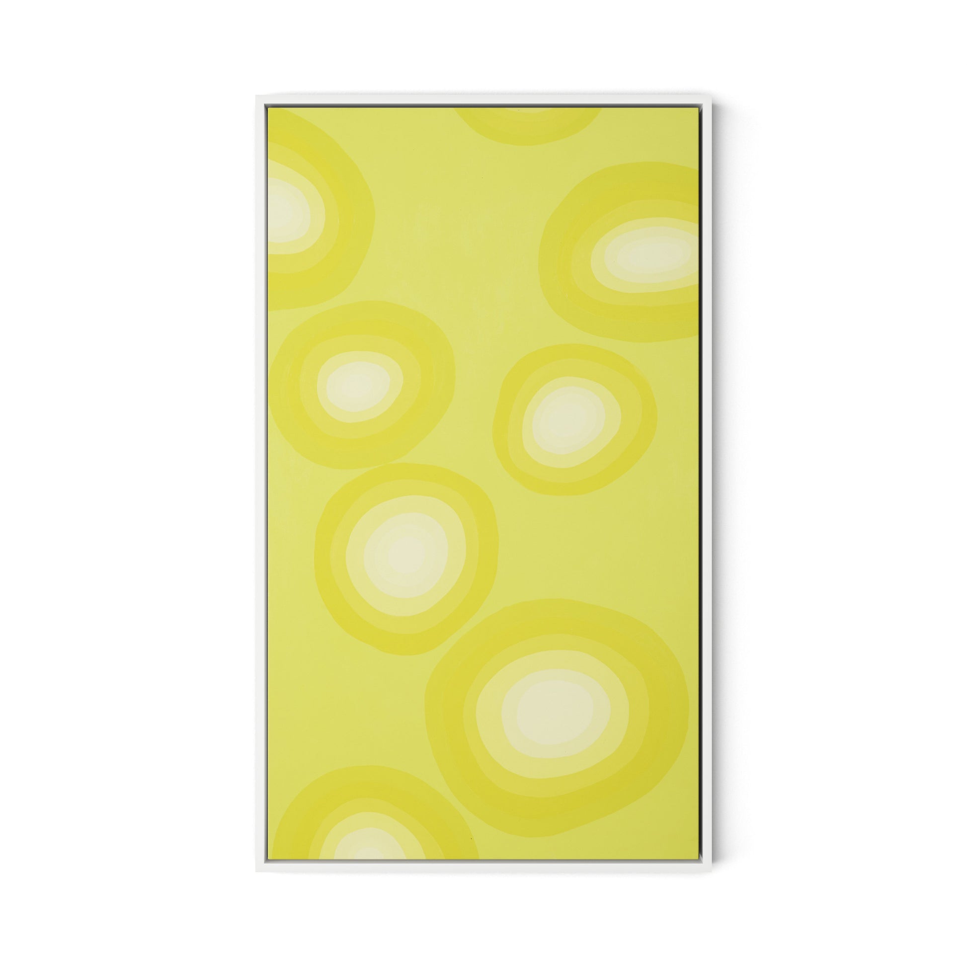 Citrus Rounds Canvas Floater Framed / 19 x 32 in / White