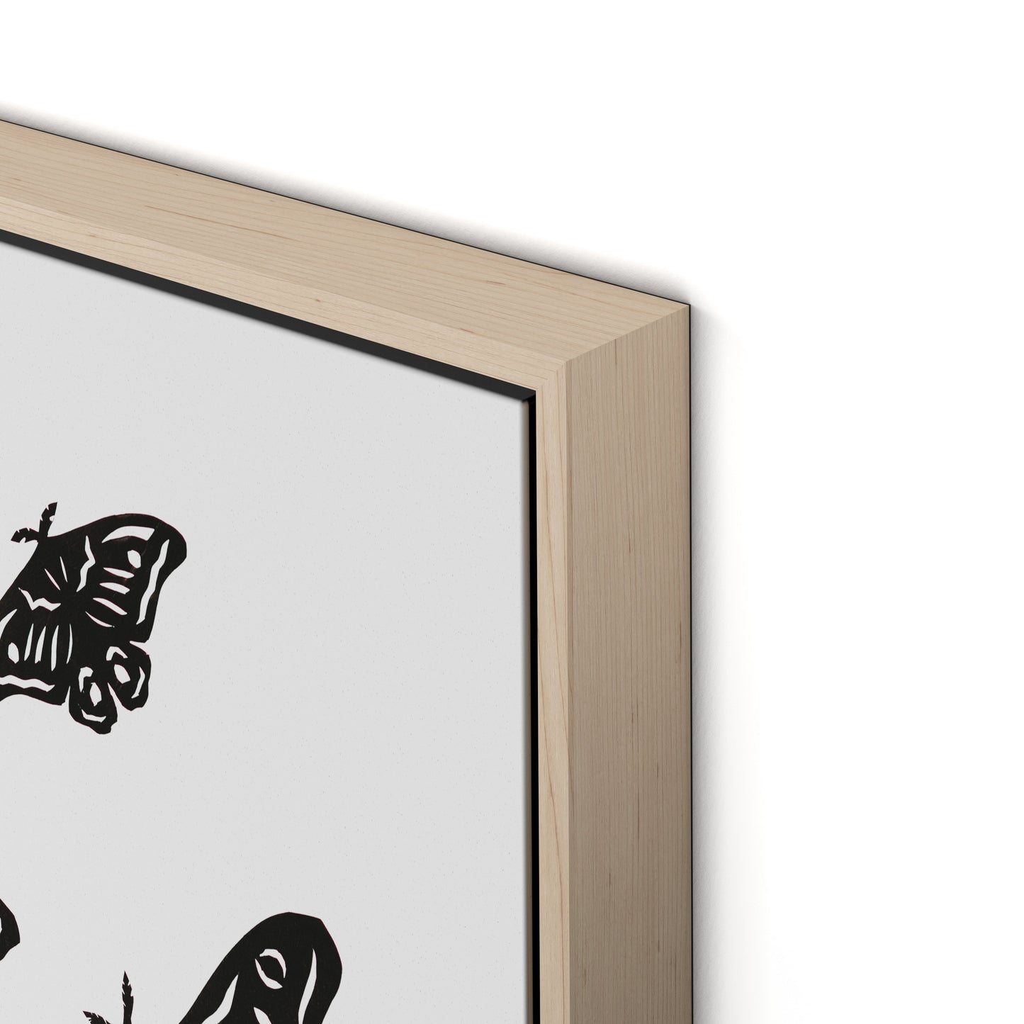Black Moths Canvas Floater Framed / 24 x 32 in / Natural Maple