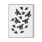 Black Moths Canvas Floater Framed / 24 x 32 in / Natural Maple