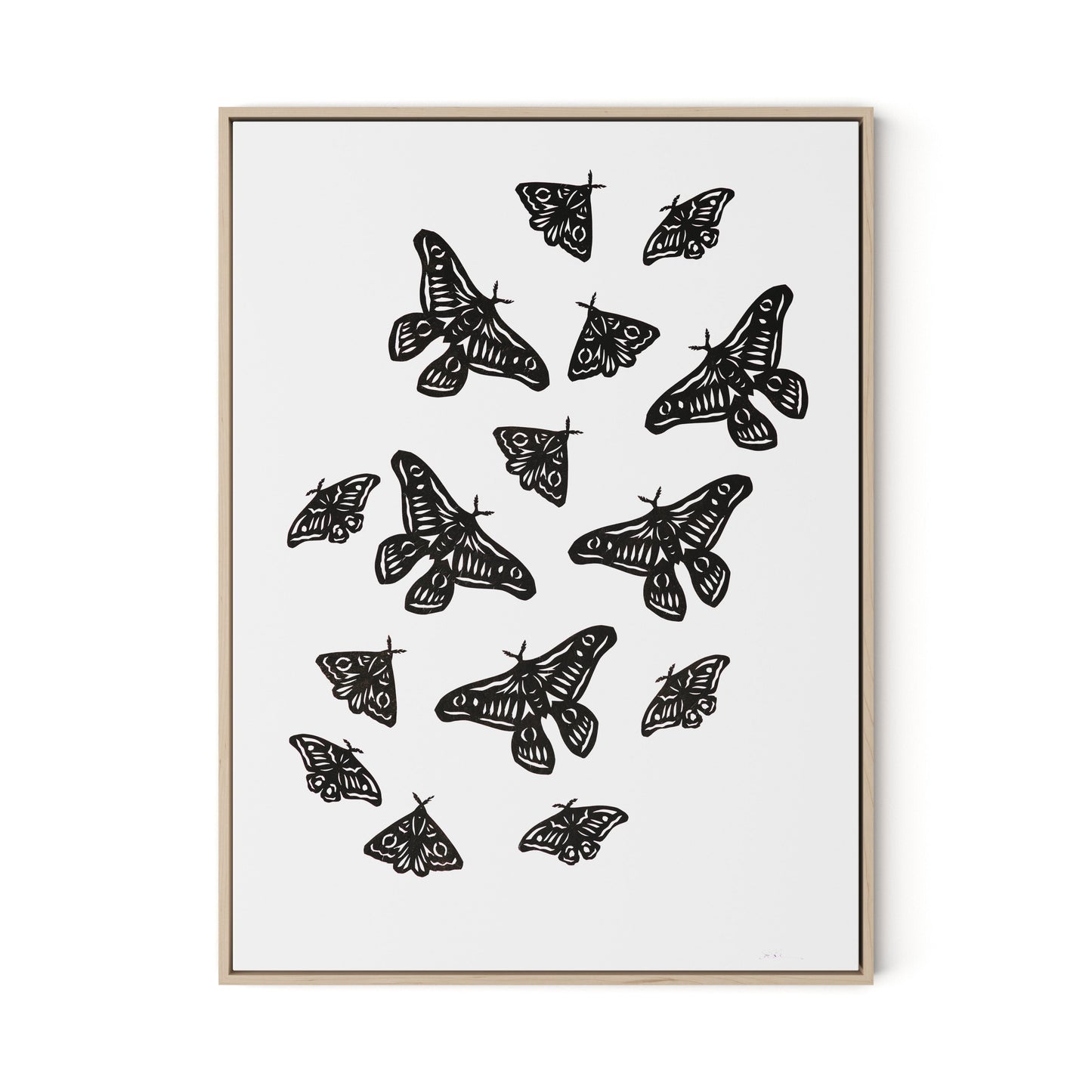 Black Moths Canvas Floater Framed / 24 x 32 in / Natural Maple