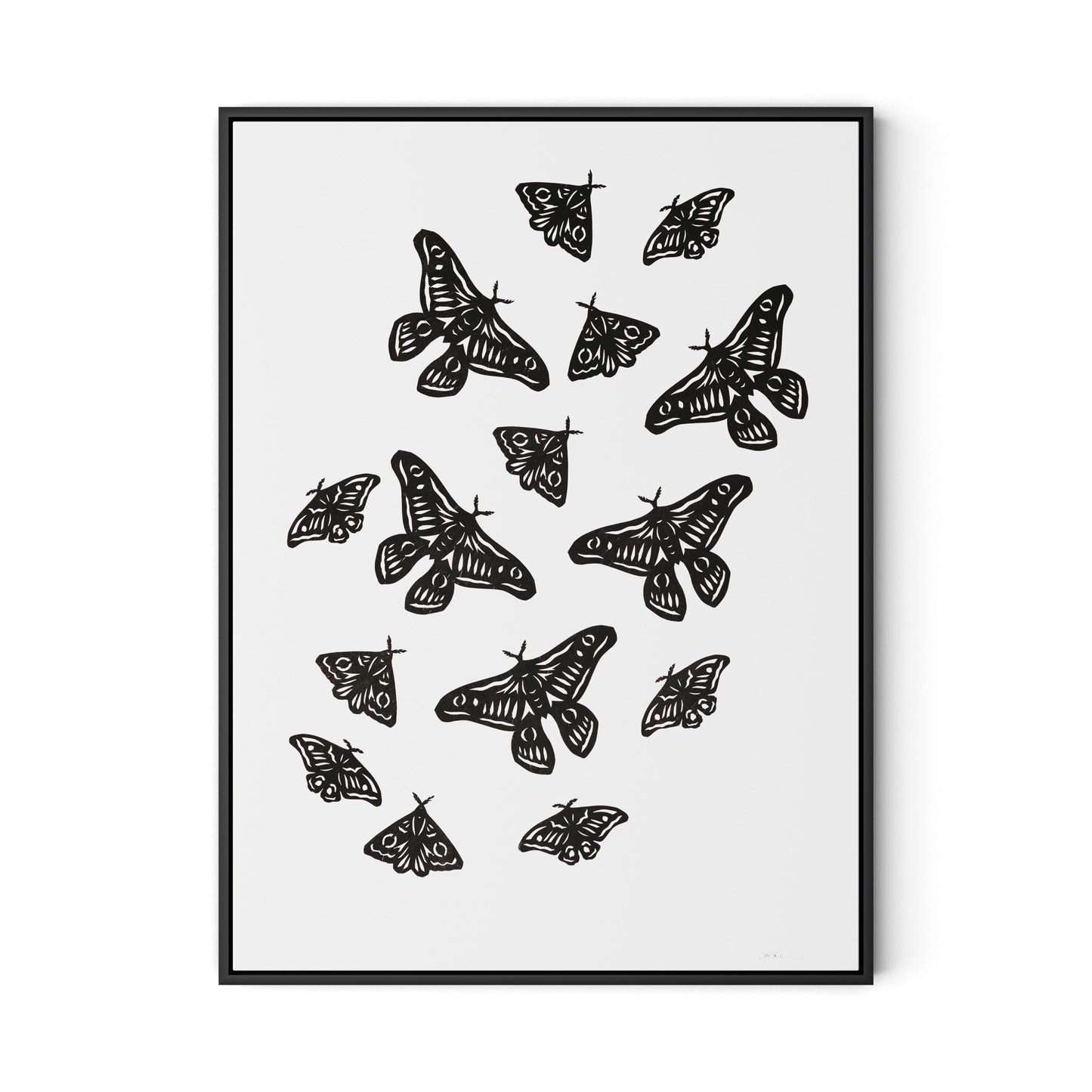 Black Moths Canvas Floater Framed / 24 x 32 in / Black