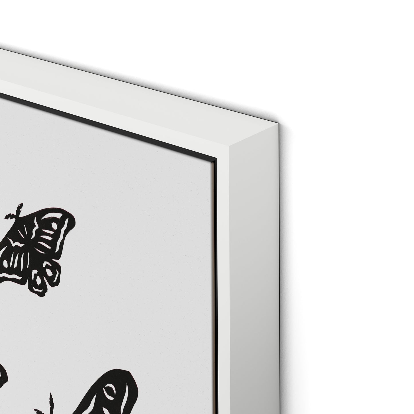 Black Moths Canvas Floater Framed / 24 x 32 in / White